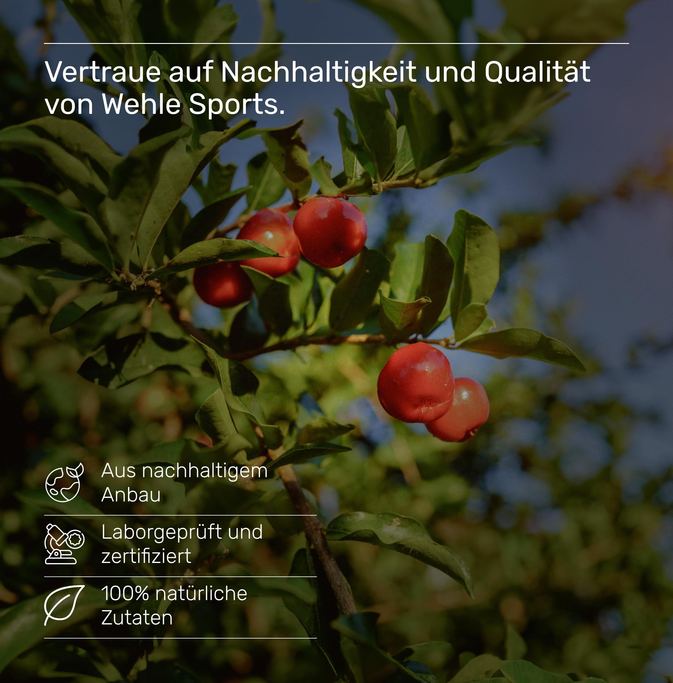 Zweig mit roten Acerola-Kirschen. Text: Aus nachhaltigem Anbau, Laborgeprüft und zertifiziert, 100% natürliche Zutaten.