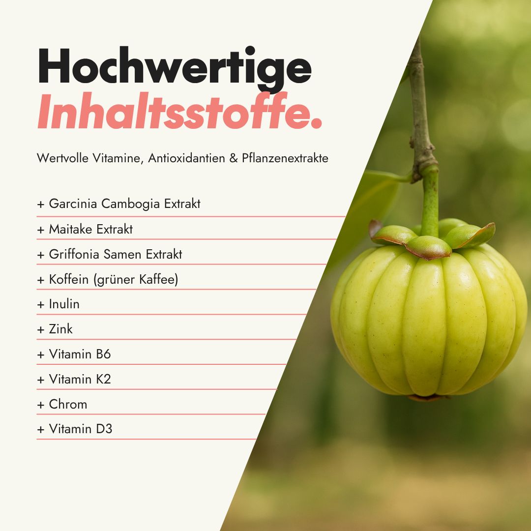 Garcinia Cambogia Frucht. Text: Hochwertige Inhaltsstoffe. Wertvolle Vitamine, Antioxidantien & Pflanzenextrakte.