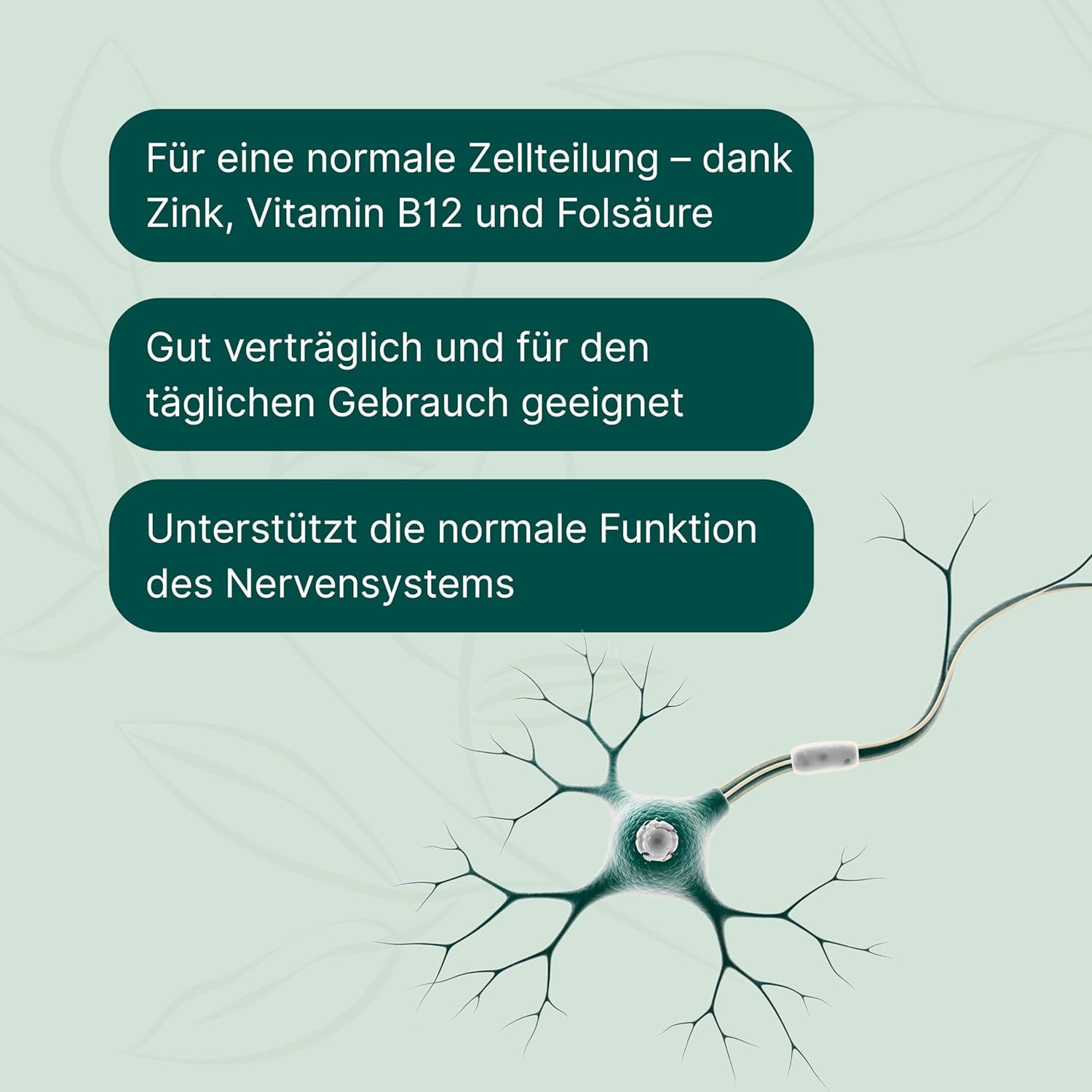 Grafische Darstellung eines Neurons mit Textblöcken. Text: Zink, Vitamin B12 und Folsäure. Gut verträglich. Unterstützt Nervensystem.