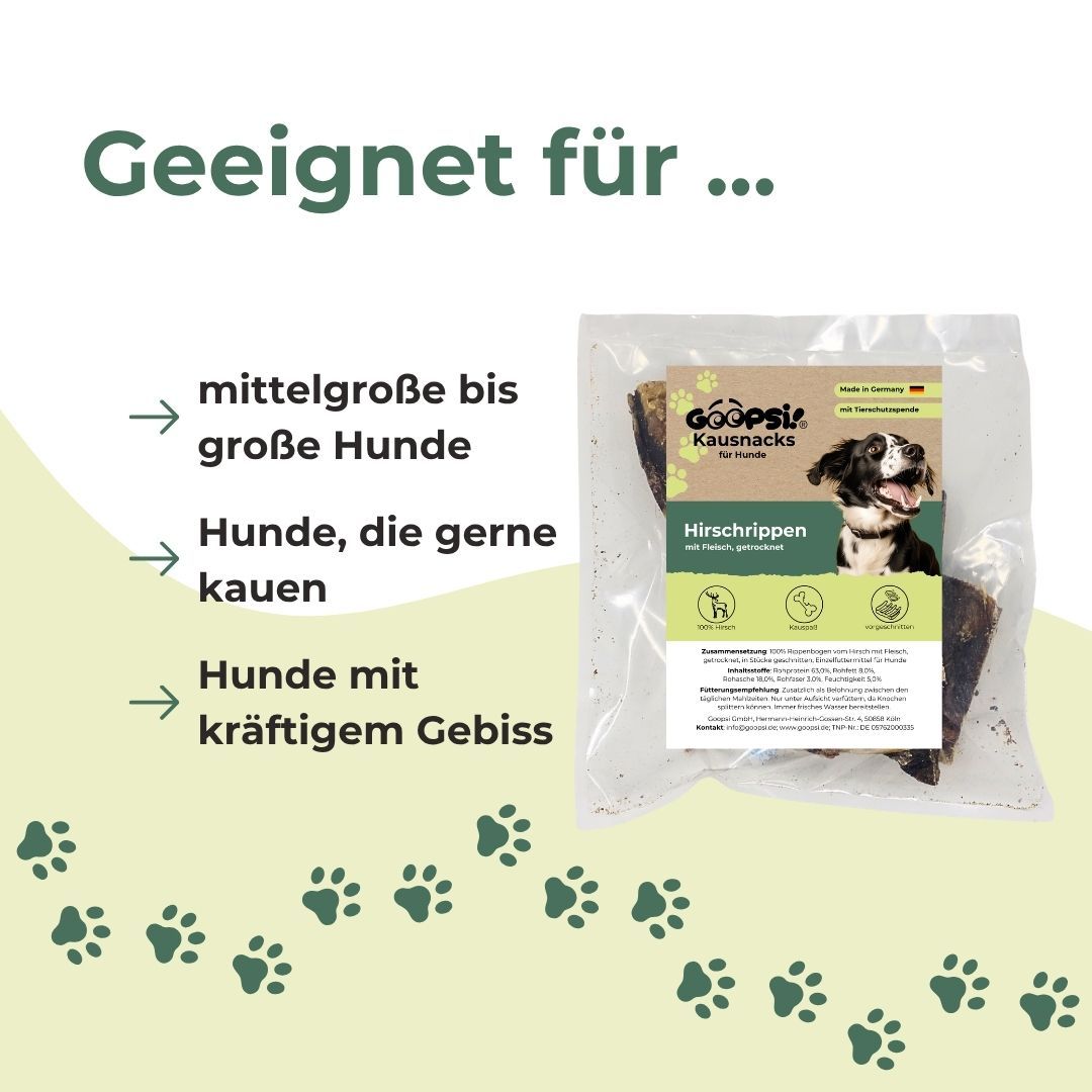 Hund wird von einer Person gefüttert, ein Hund kaut auf einem Kauartikel, ein Hund spielt mit einem Kauartikel.