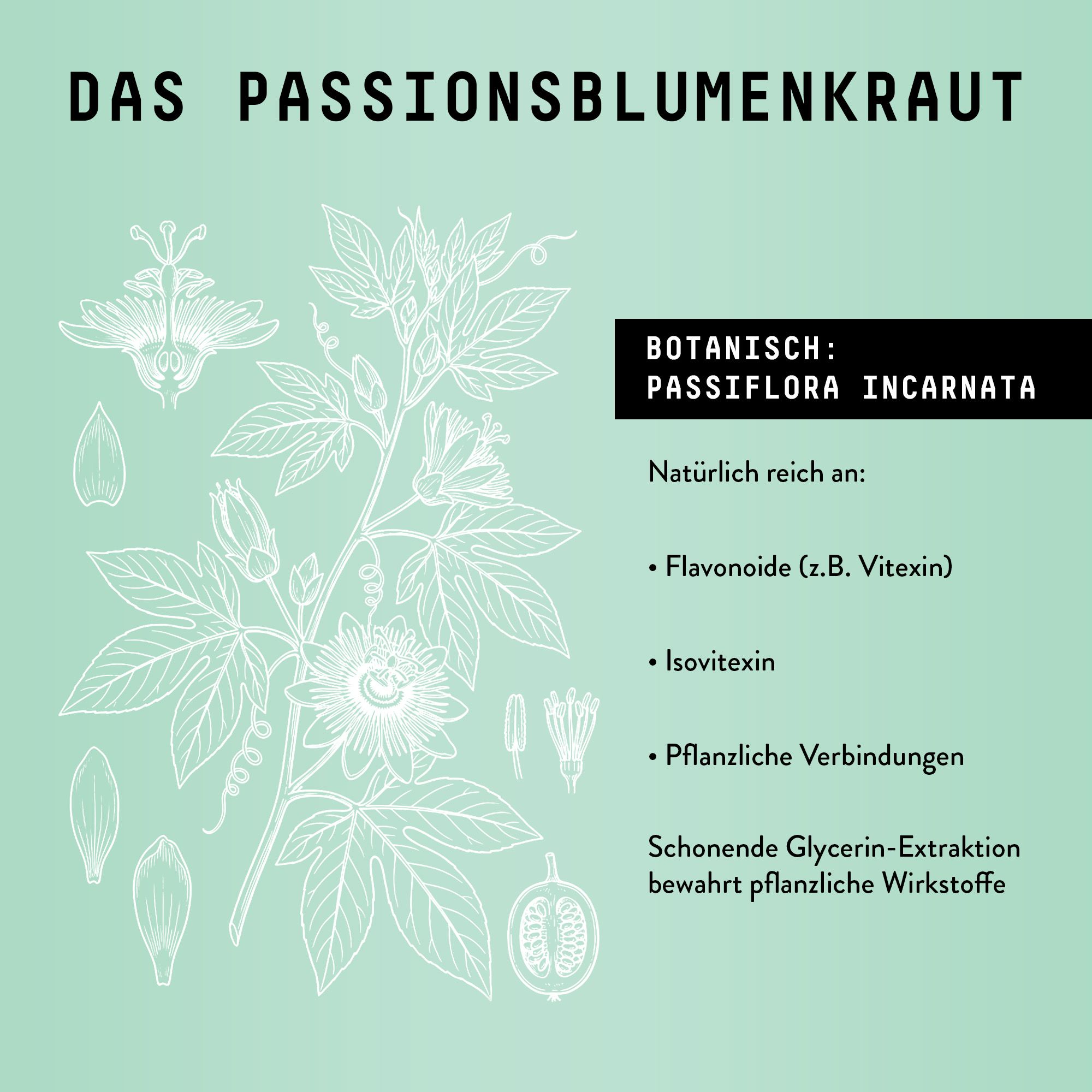 Zeichnung einer Passionsblume. Text: Botanisch: Passiflora incarnata. Text: Flavonoide, Isovitexin, pflanzliche Verbindungen. Schonende Glycerin-Extraktion.