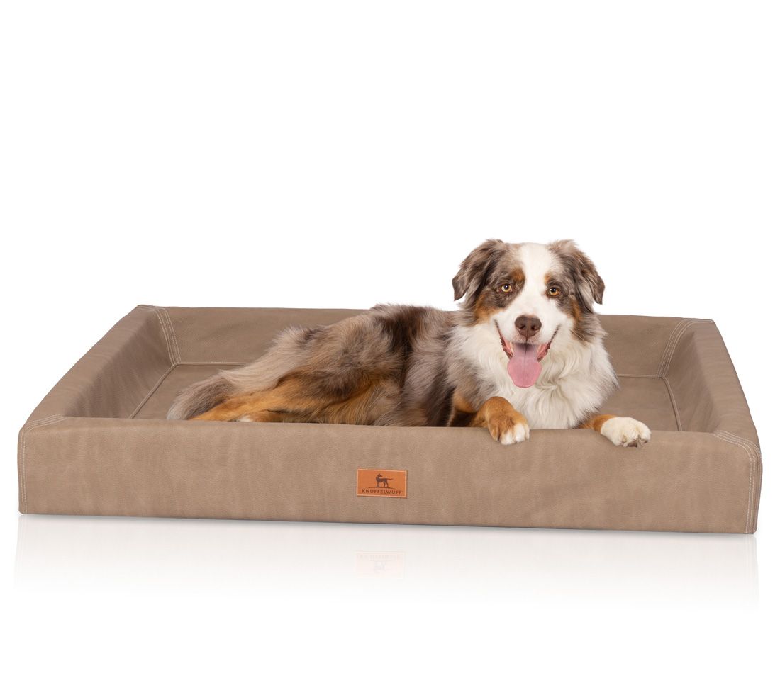 Beiges orthopädisches Hundebett. Ein Hund liegt entspannt darin. Logo-Patch an der Vorderseite.