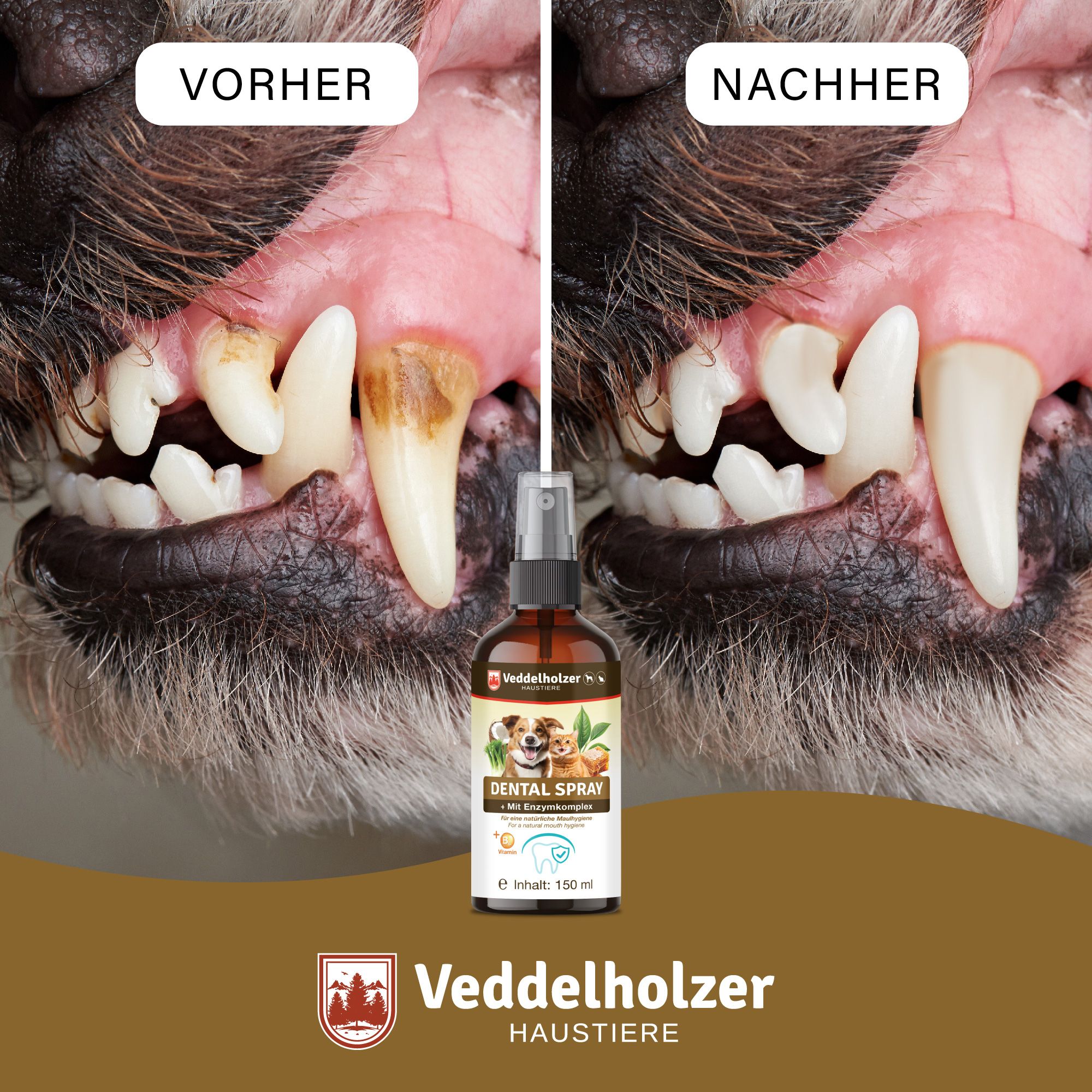 Veddelholzer Probiotisches Dentalspray Set für Hunde & Katzen