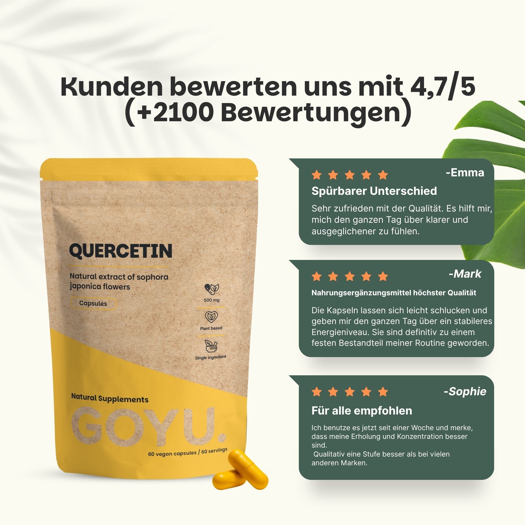 Verpackung mit Quercetin-Kapseln, 500 mg. Liste mit Merkmalen wie 100% natürlich, vegan, postversandfähig.