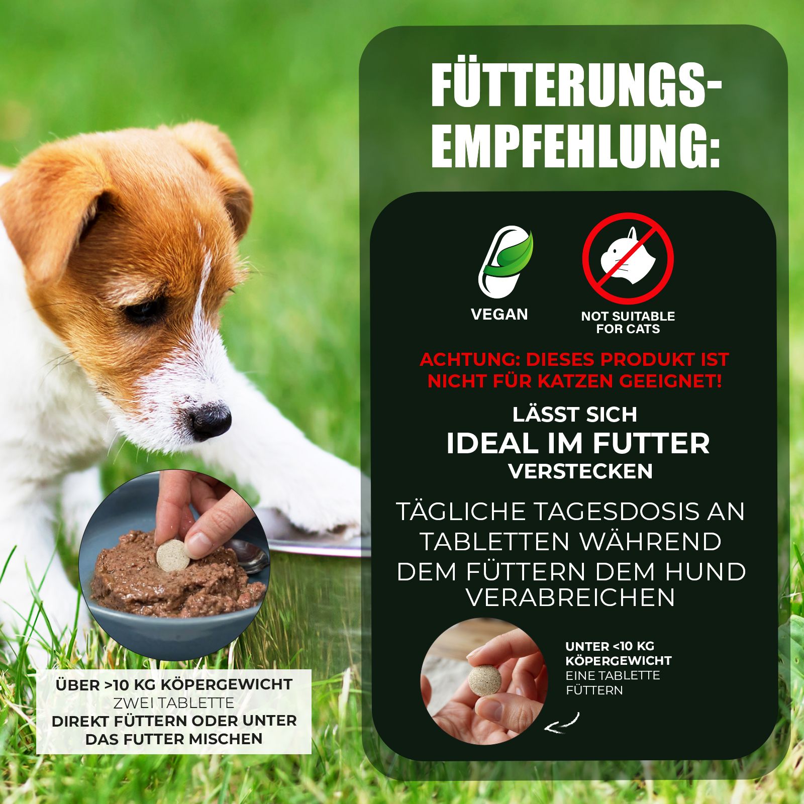 Hund mit Futter. Text: Fütterungsempfehlung, vegan, nicht für Katzen, ideal im Futter verstecken. Tabletten werden dem Futter beigemischt.