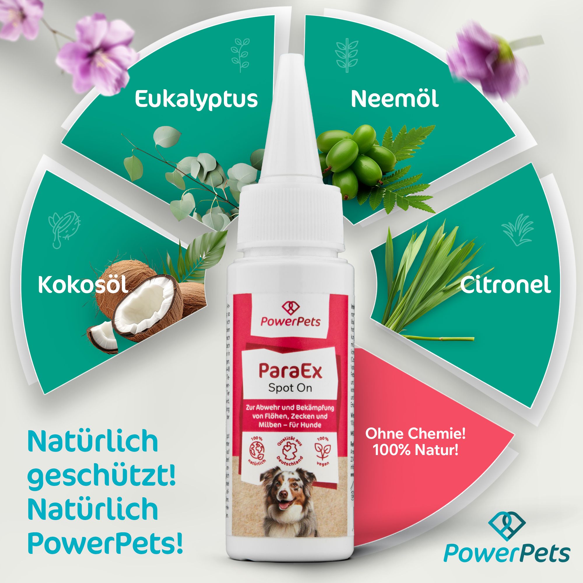 PowerPets - ParaEx Spot On für Hunde 40 ml Tropfen