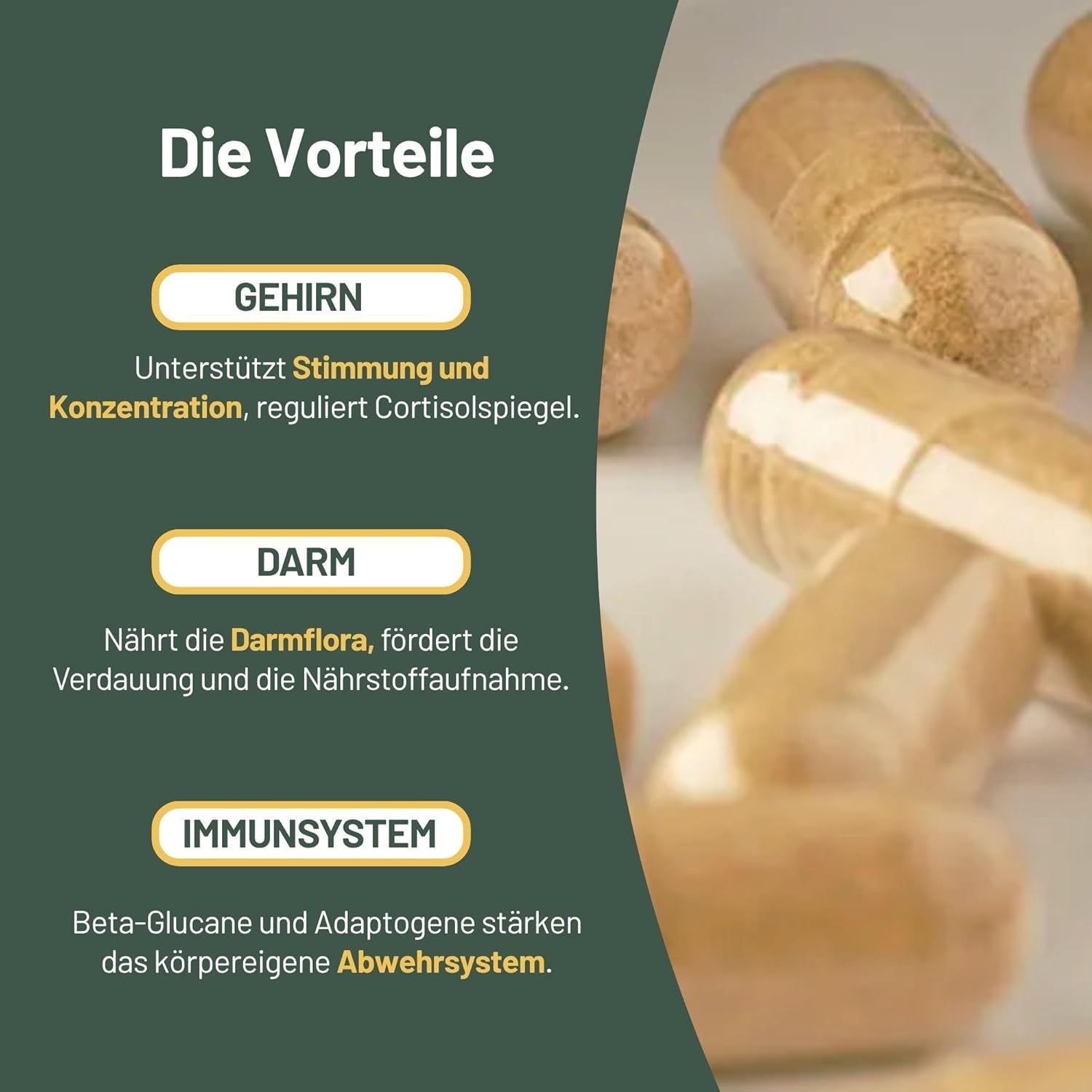 Kapseln. Text: Die Vorteile. Gehirn: Unterstützt Stimmung und Konzentration. Darm: Nährt die Darmflora. Immunsystem: Beta-Glucane und Adaptogene stärken das Immunsystem.