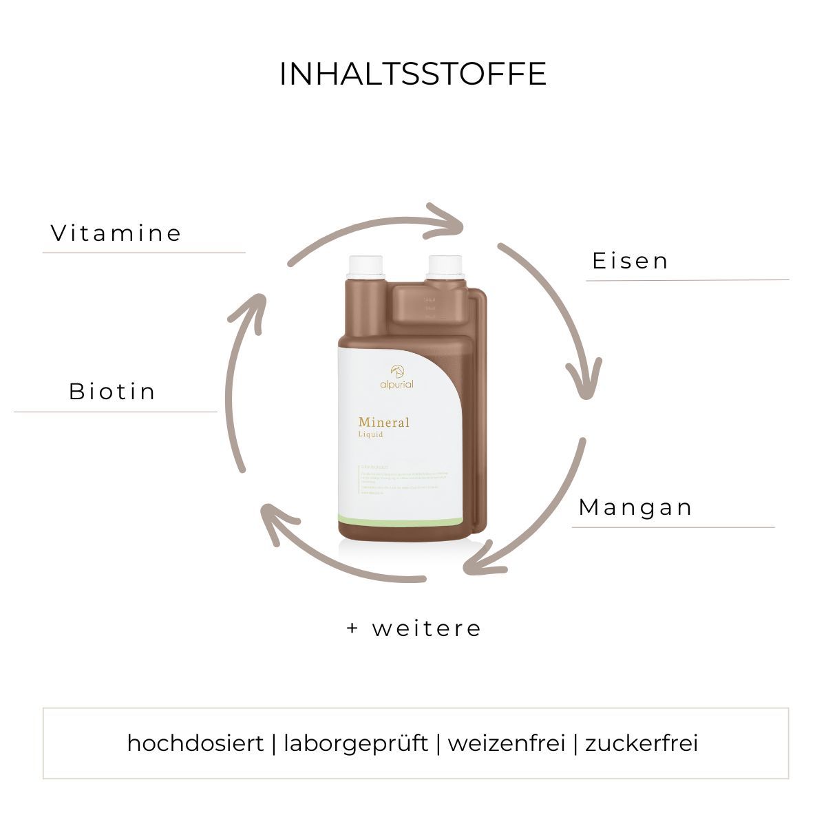 Grafik mit Flasche, umgeben von Pfeilen mit Inhaltsstoffen: Vitamine, Biotin, Eisen, Mangan.