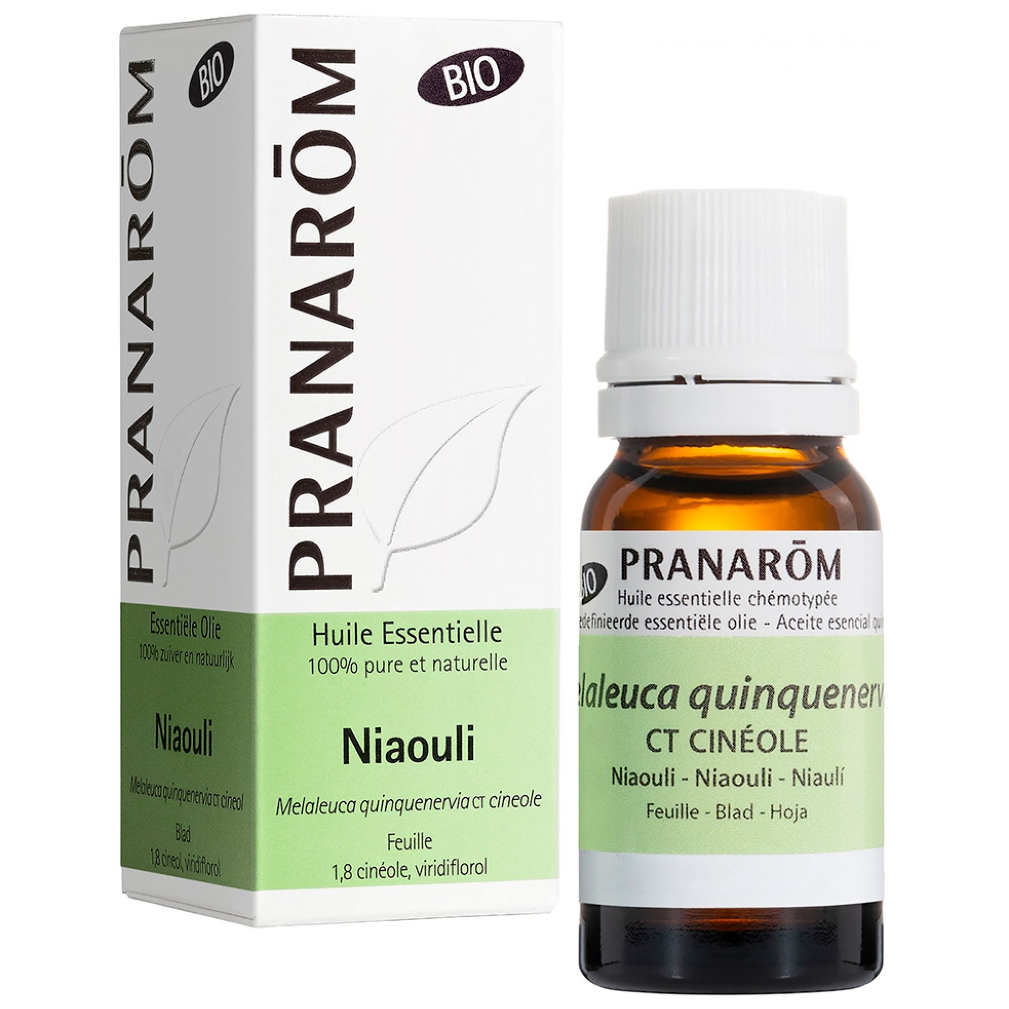 Pranarôm Bio Ätherisches Öl Niaouli (Melaleuca quinquenervia CT Cineol) 3x8x3 cm