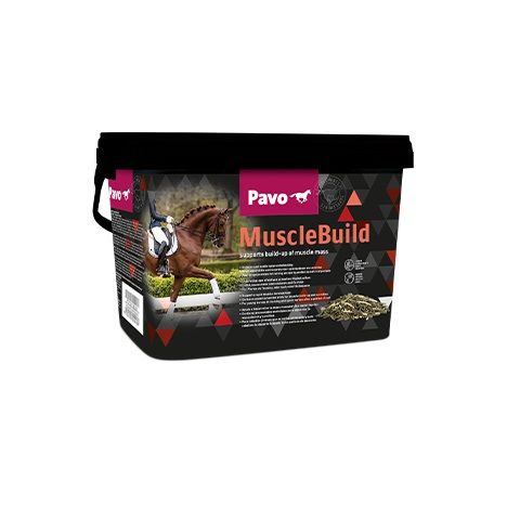 Eimer mit Pavo MuscleBuild-Etikett. Abbildung eines Pferdes und Reiter. Schwarzer Deckel und Griff.