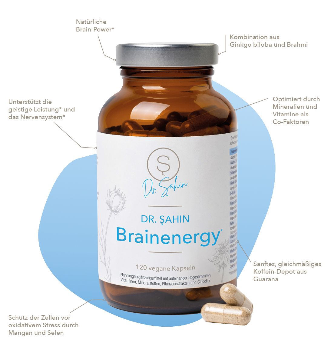 Dr. Şahin Brainenergy*