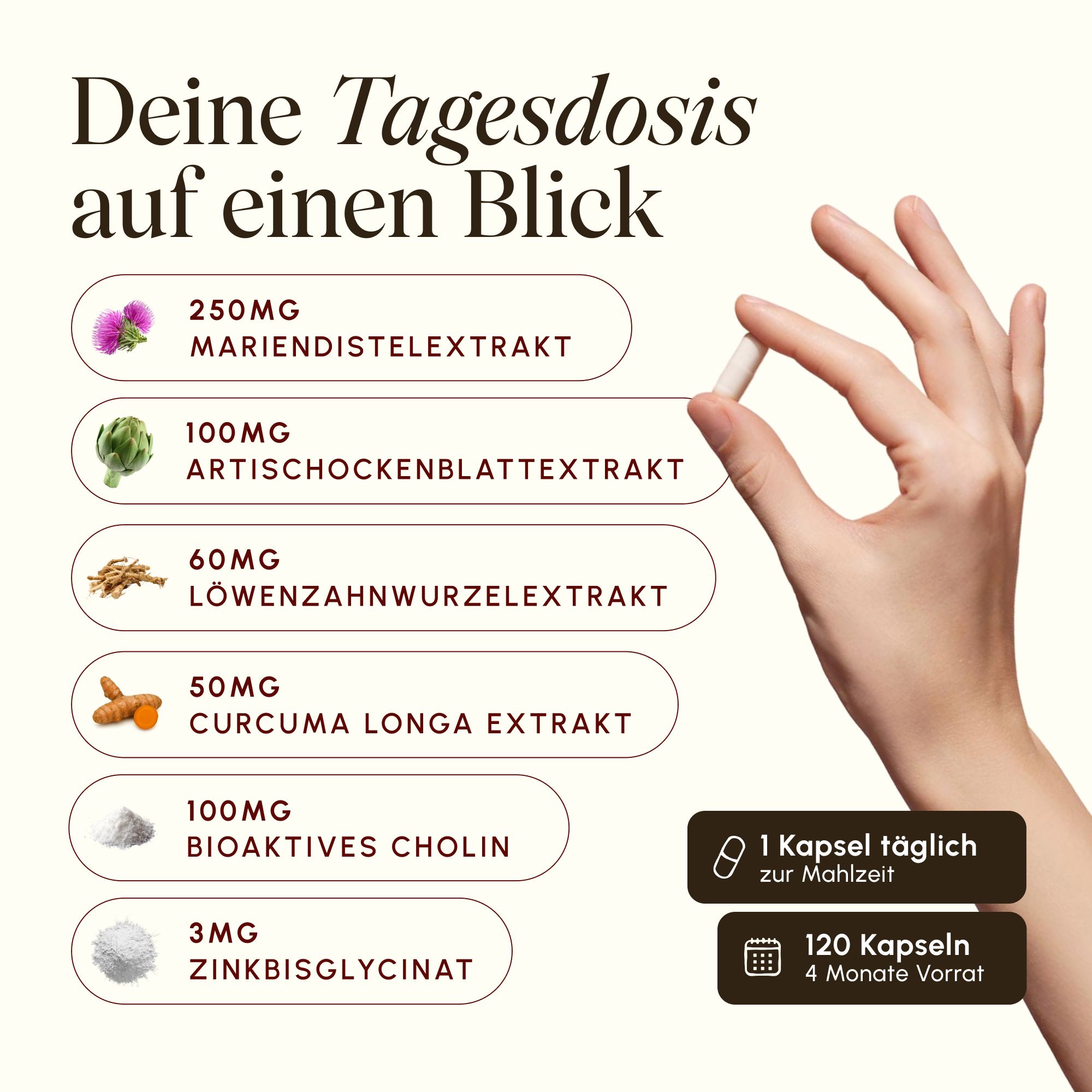 Übersicht der Tagesdosis von Vetaain Leber Komplex mit Mariendistel, Artischocke, Löwenzahn, Curcuma, Cholin, Zink.