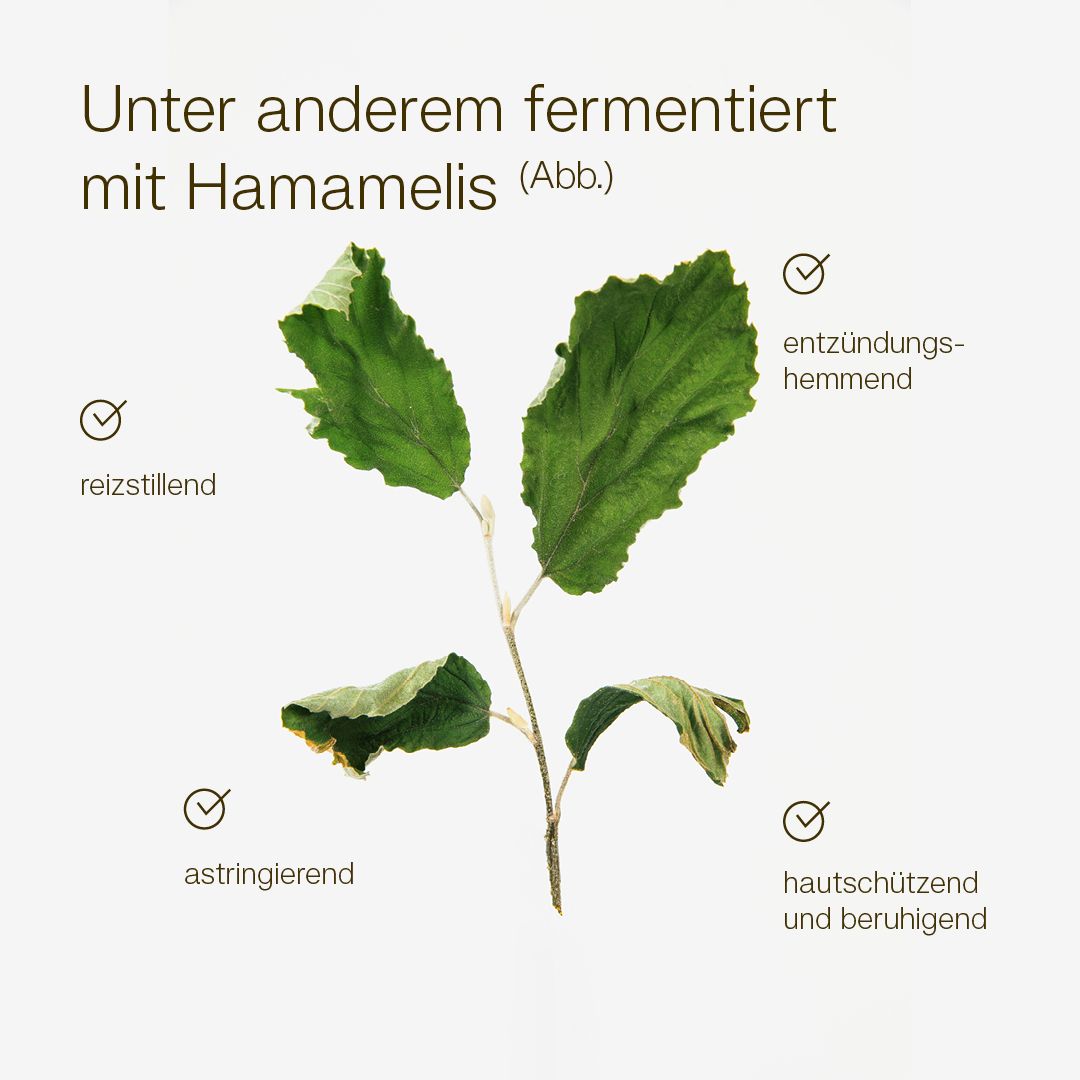 MikroVeda DERMA