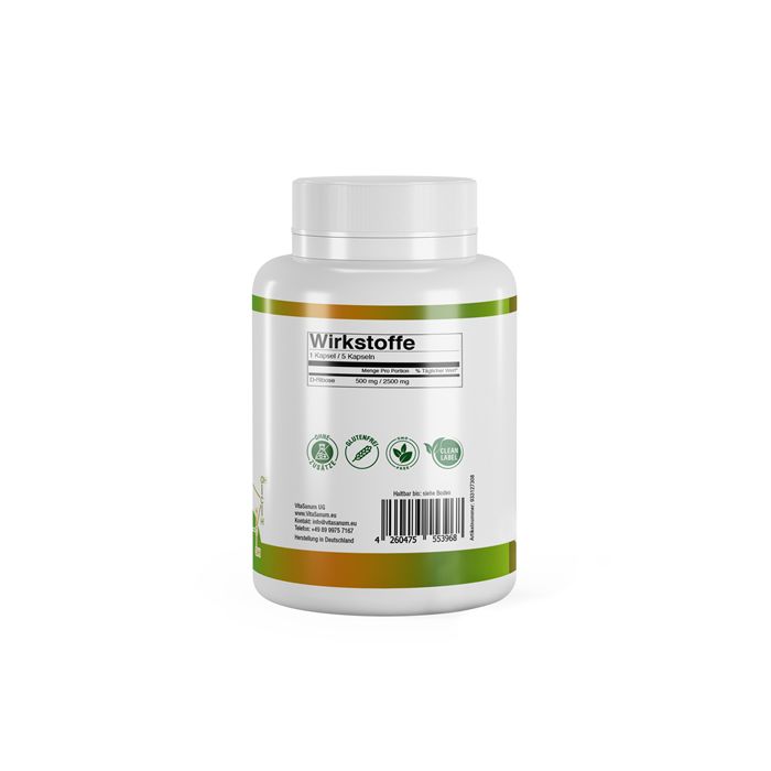 VitaSanum®- D-Ribose 100 St Kapseln