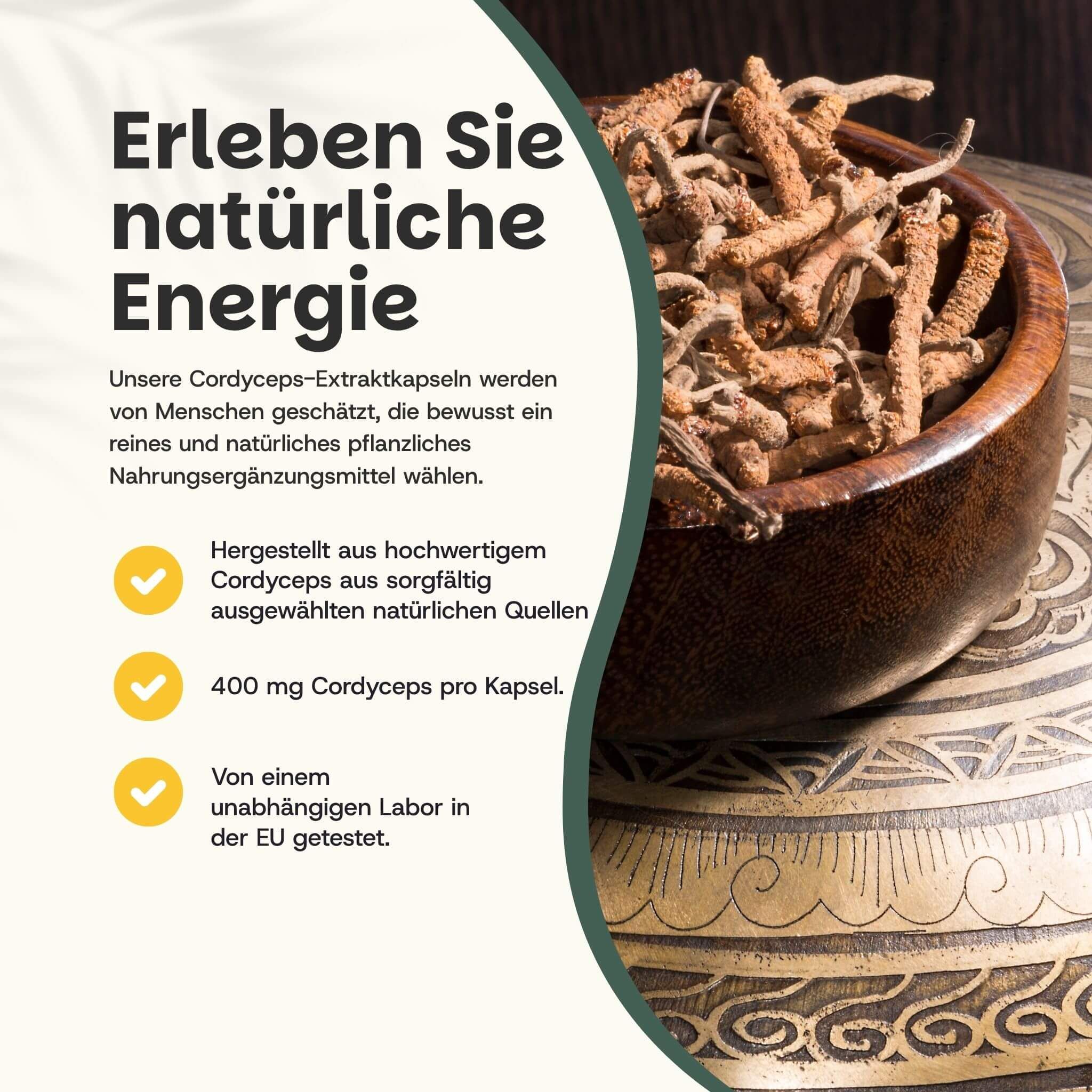 Beutel mit Cordyceps-Kapseln. Aufschrift: Cordyceps Capsules Extract 20:1. 60 Kapseln. Braune Kapseln liegen daneben.
