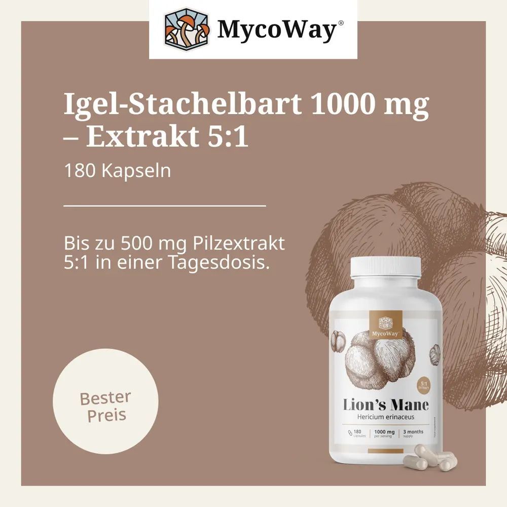 Flasche mit Lion's Mane und Kapseln. Text: Igel-Stachelbart 1000 mg - Extrakt 5:1. Marke: MycoWay.