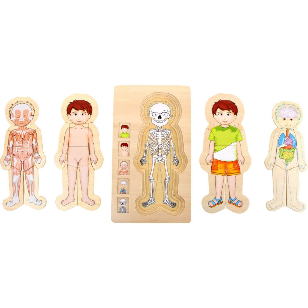 Holzpuzzle Anatomie Junge. Puzzle mit Körperteilen, Illustrationen von Organen und Skelett. Holzfarben.