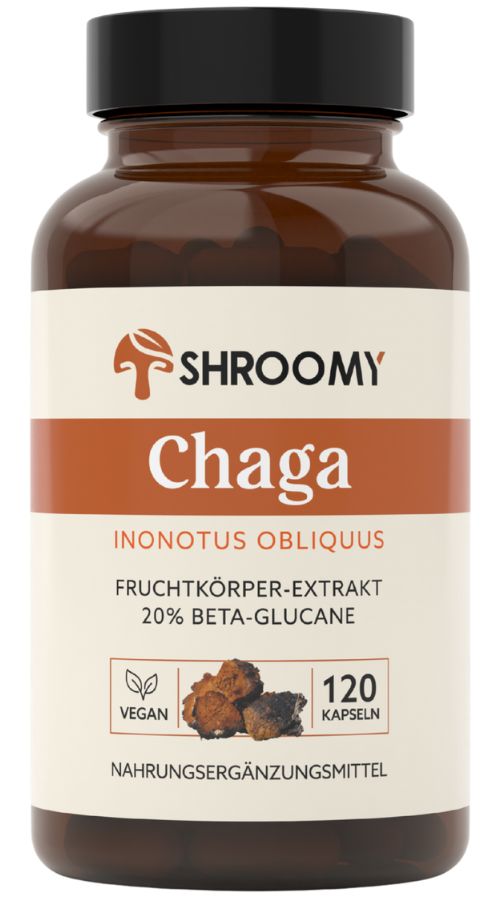 Braune Flasche mit SHROOMY Chaga Kapseln. Aufschrift: Chaga, Inonotus Obliquus, 20% Beta-Glucane, 120 Kapseln. Vegan-Siegel.
