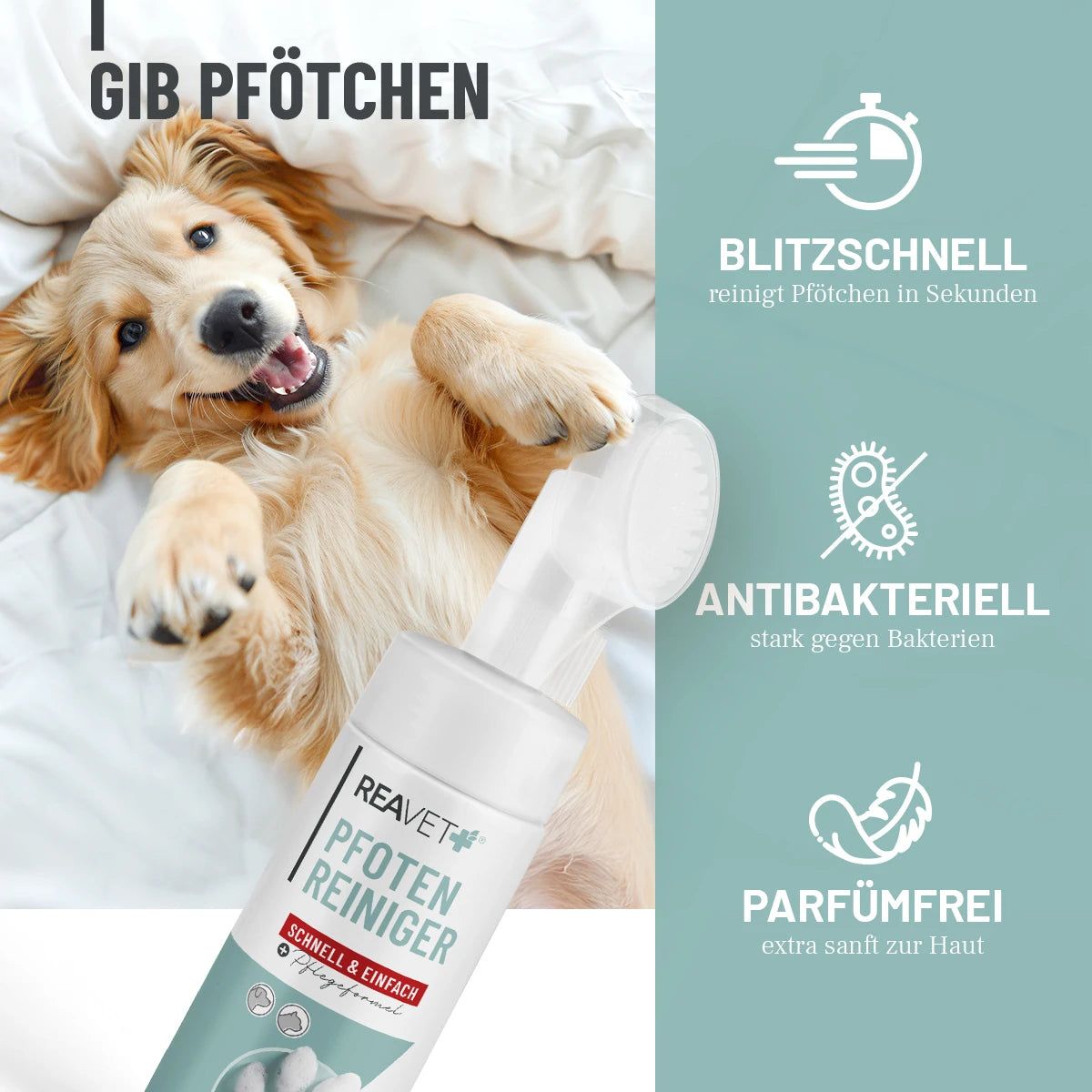 Hund liegt auf dem Rücken. REAVET Pfotenreiniger mit Bürstenaufsatz. Text: Blitzschnell, antibakteriell, parfümfrei.