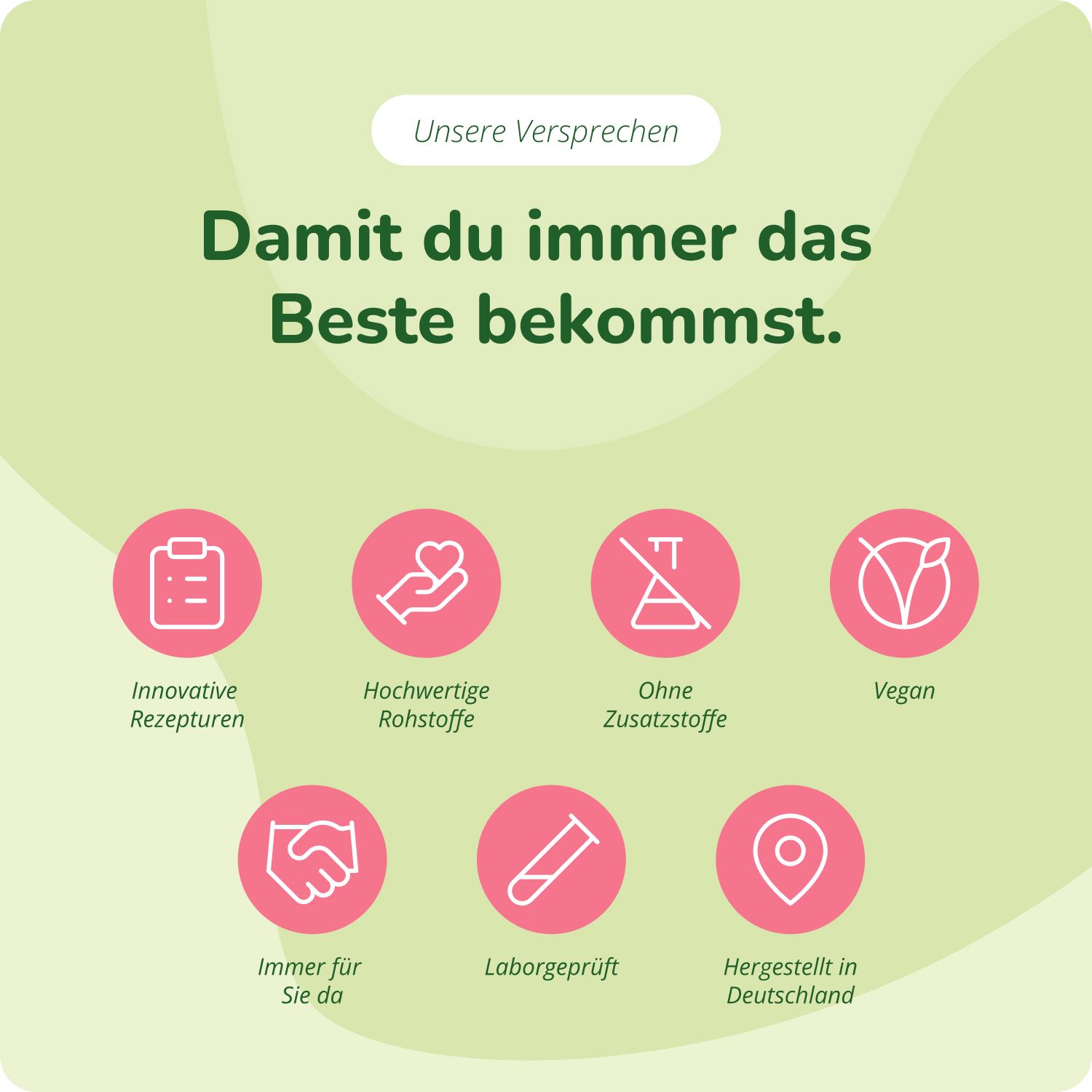 Vegavaro Digestive Enzymes: Innovative Rezepturen, hochwertige Rohstoffe, vegan, laborgeprüft.