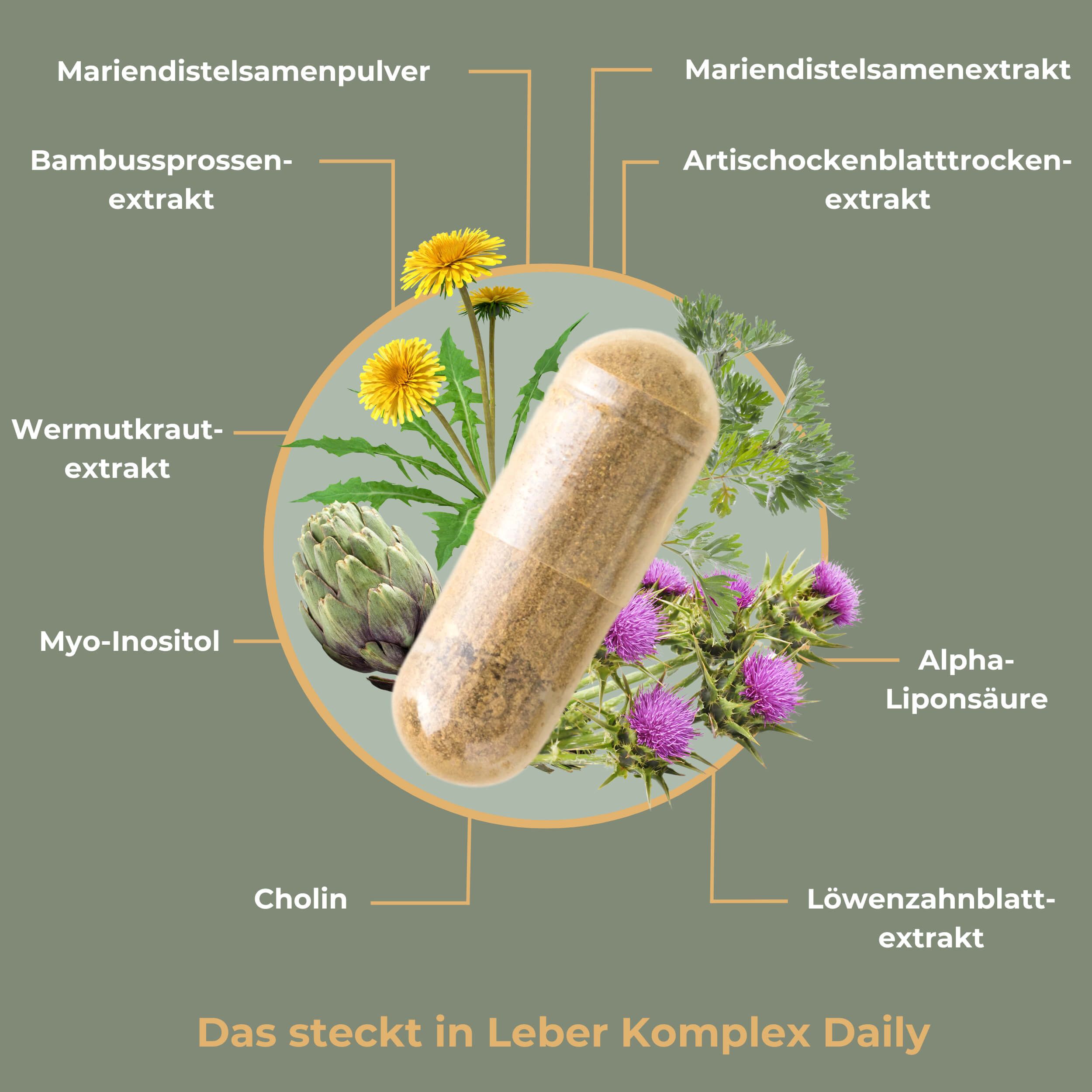 Viktilabs Leber Komplex Daily: Mit Cholin und Alpha-Liponsäure