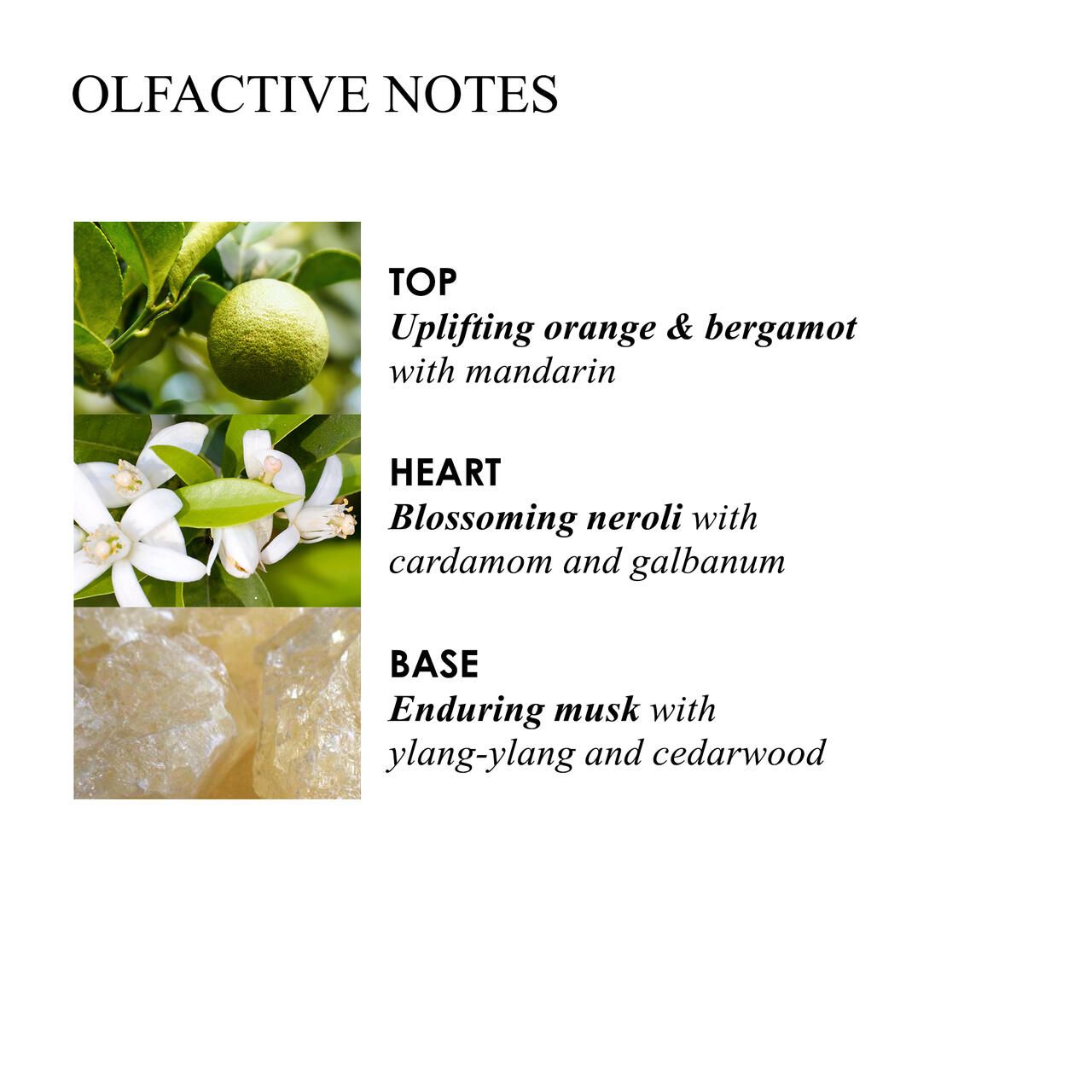 Molton Brown, Orange & Bergamot Handseife