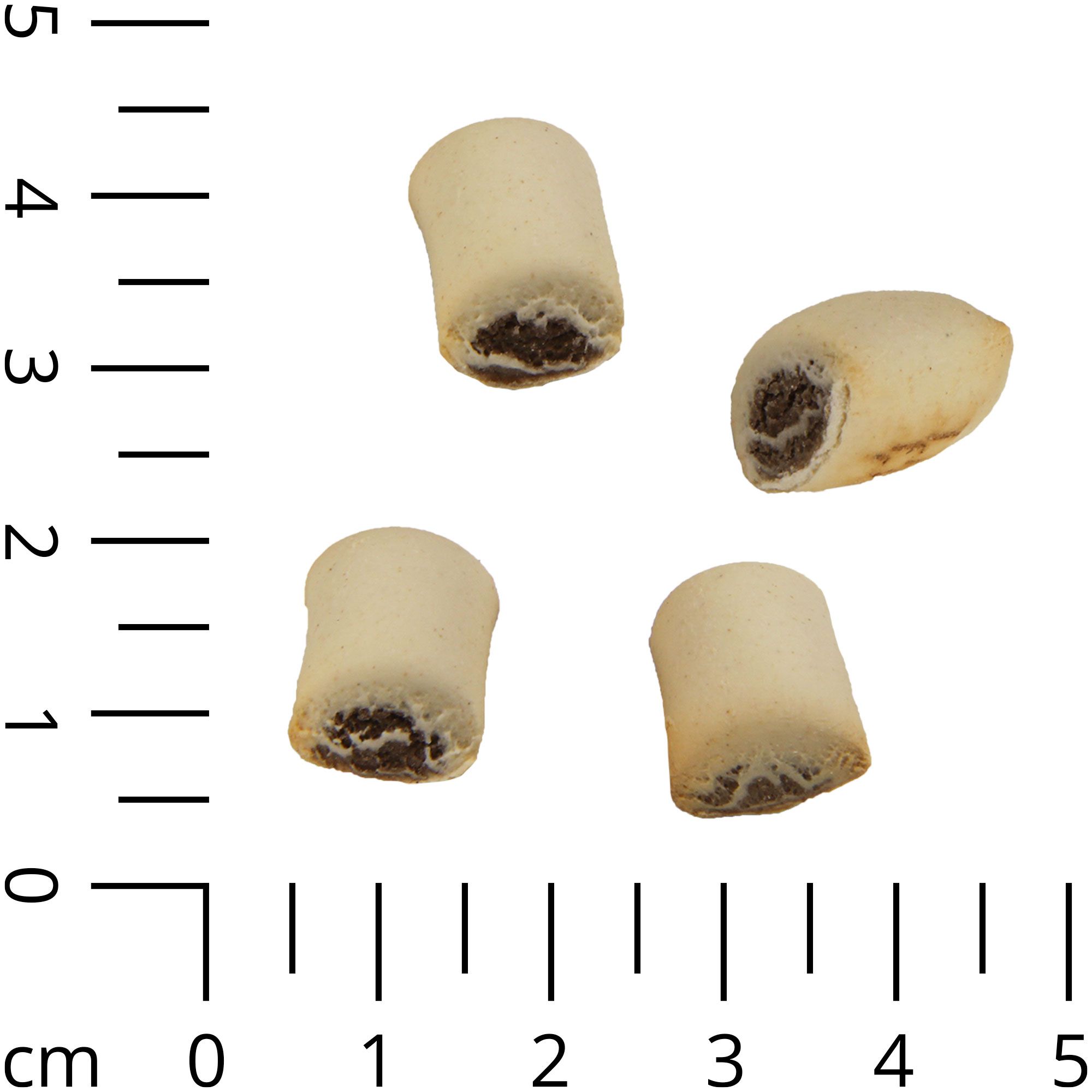 Schecker DOGREFORM Häppchen mit Wildfüllung - Hundesnack - Hundekekse