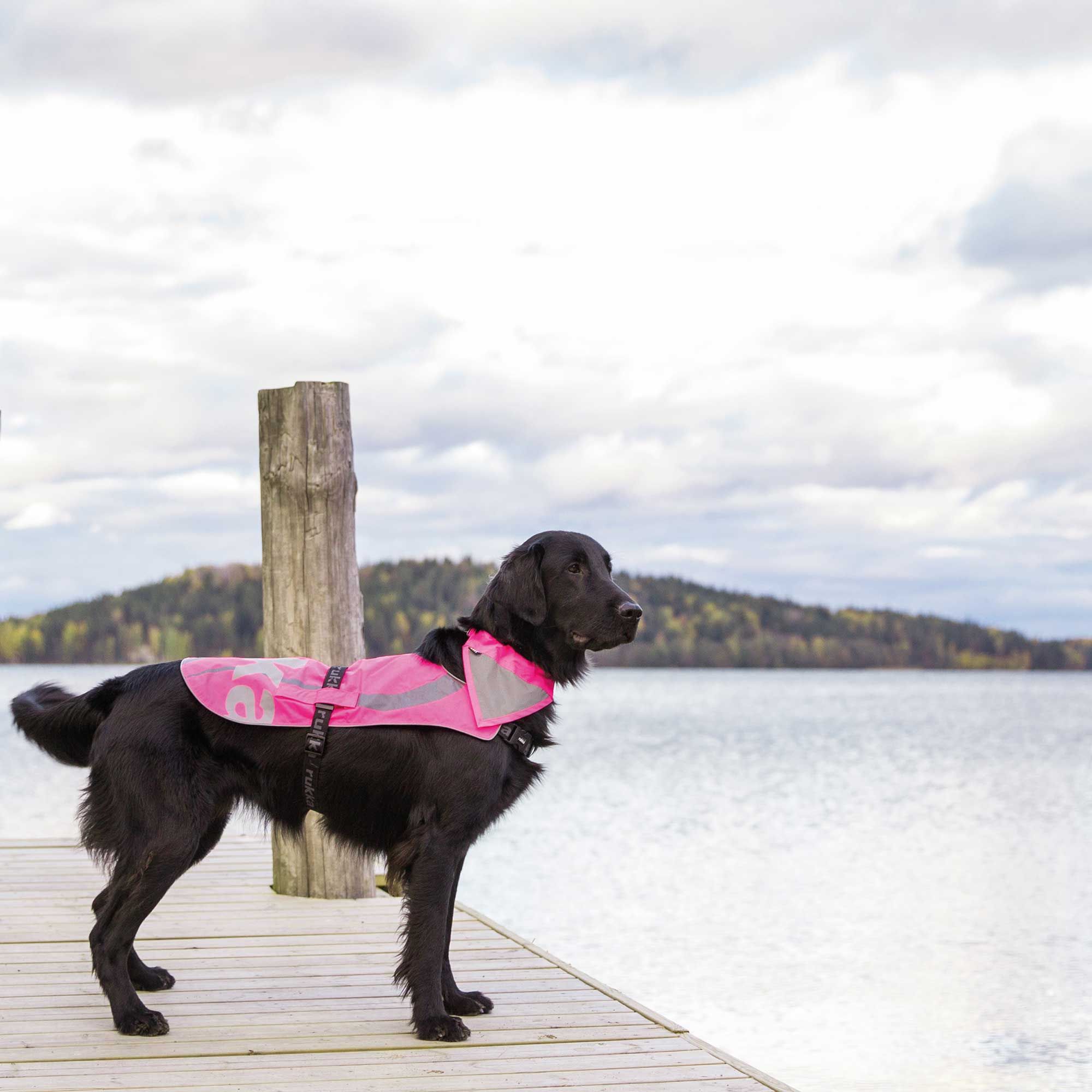 Produktbild von Warnweste Hund Xs FINNERO UKKO Signalweste Für Hunde - Reflektierende Sicherheitsweste In Rot/Gelb, Verstellbar (Größe L) Reflektierende Hundeweste