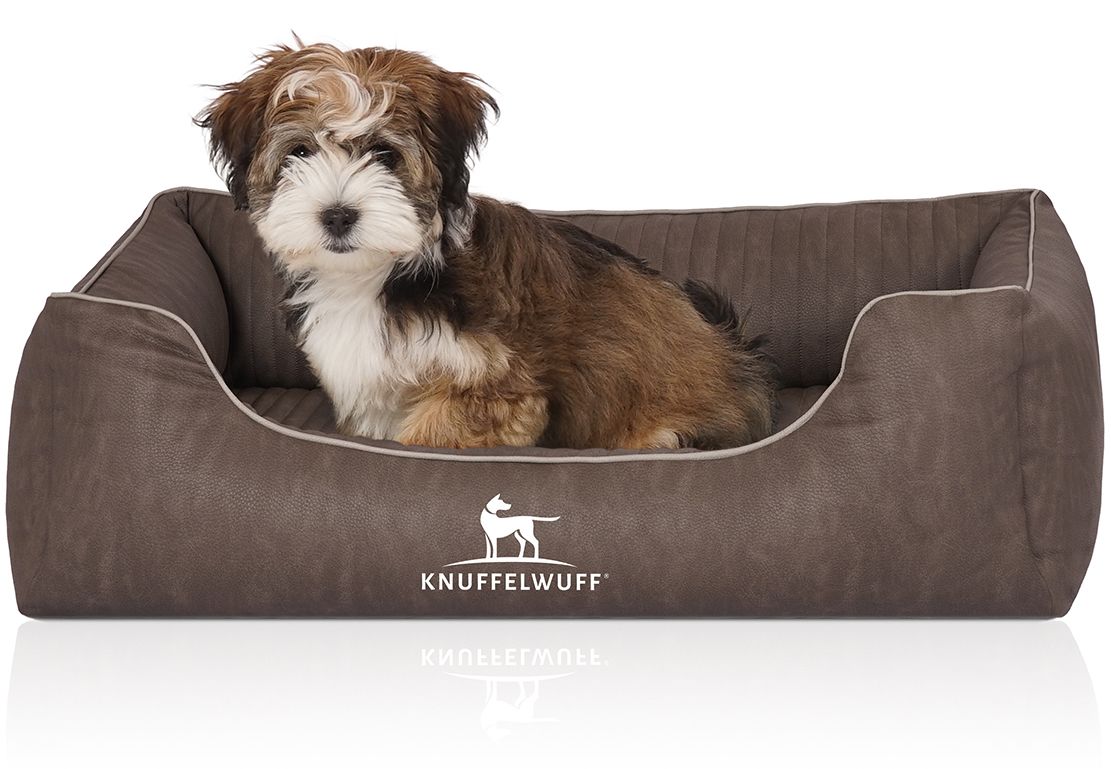Hundebett mit Hund. Braunes orthopädisches Bett mit weißem Rand und Logo. Kleiner Hund sitzt im Bett.