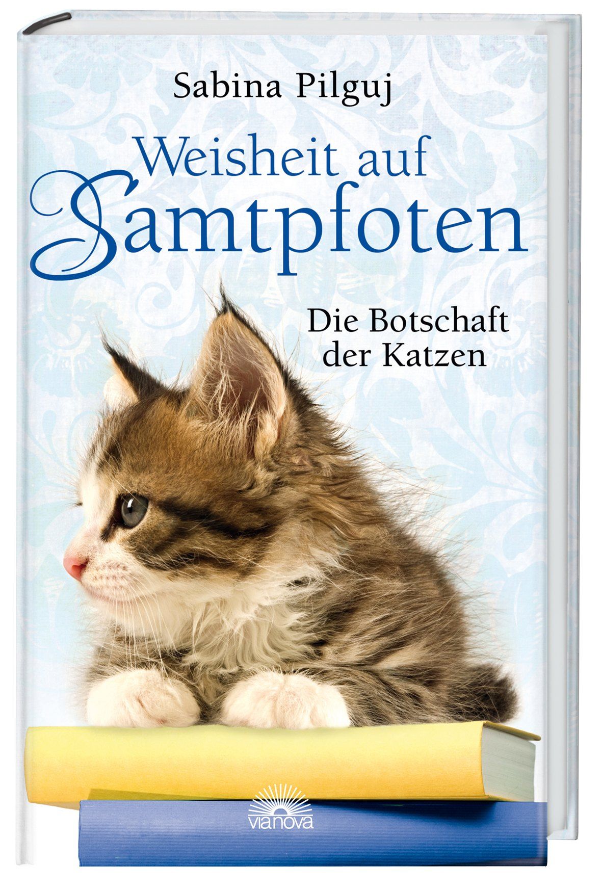 Buchcover mit Kätzchen. Titel: Weisheit auf Samtpfoten. Autor: Sabina Pilguj. Auf gelben und blauen Büchern liegend.