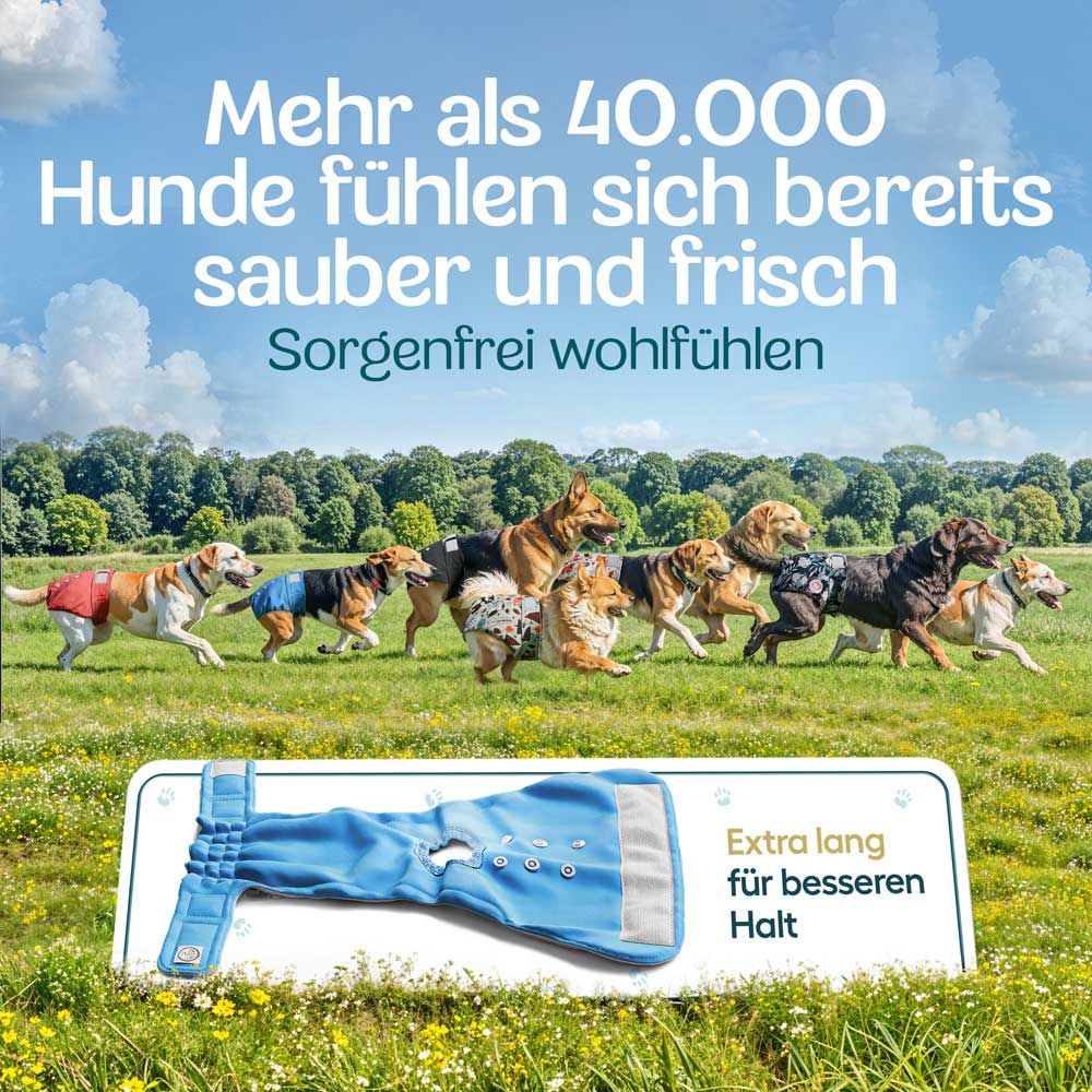 Mehrere Hunde auf einer Wiese, tragen Windeln. Text: Mehr als 40.000 Hunde fühlen sich sauber und frisch. Windel-Detail.
