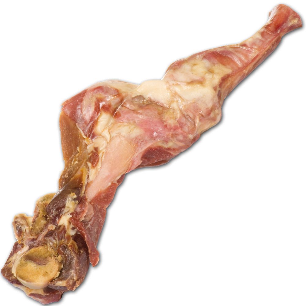 Schecker Kauknochen - Riesen Schinkenknochen