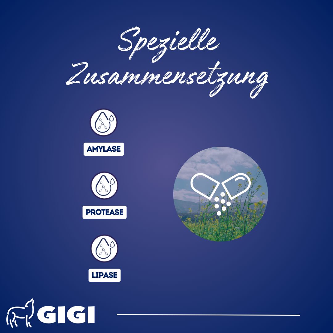 Grafische Darstellung von Enzymen: Amylase, Protease, Lipase. In der Mitte eine Kapsel mit Inhalt vor einer Landschaft.