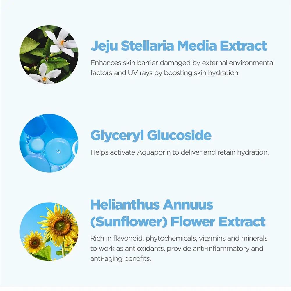 Drei Kreise mit Text und Bildern. Jeju Stellaria Media Extrakt, Glyceryl Glucoside, Helianthus Annuus (Sunflower) Flower Extract.