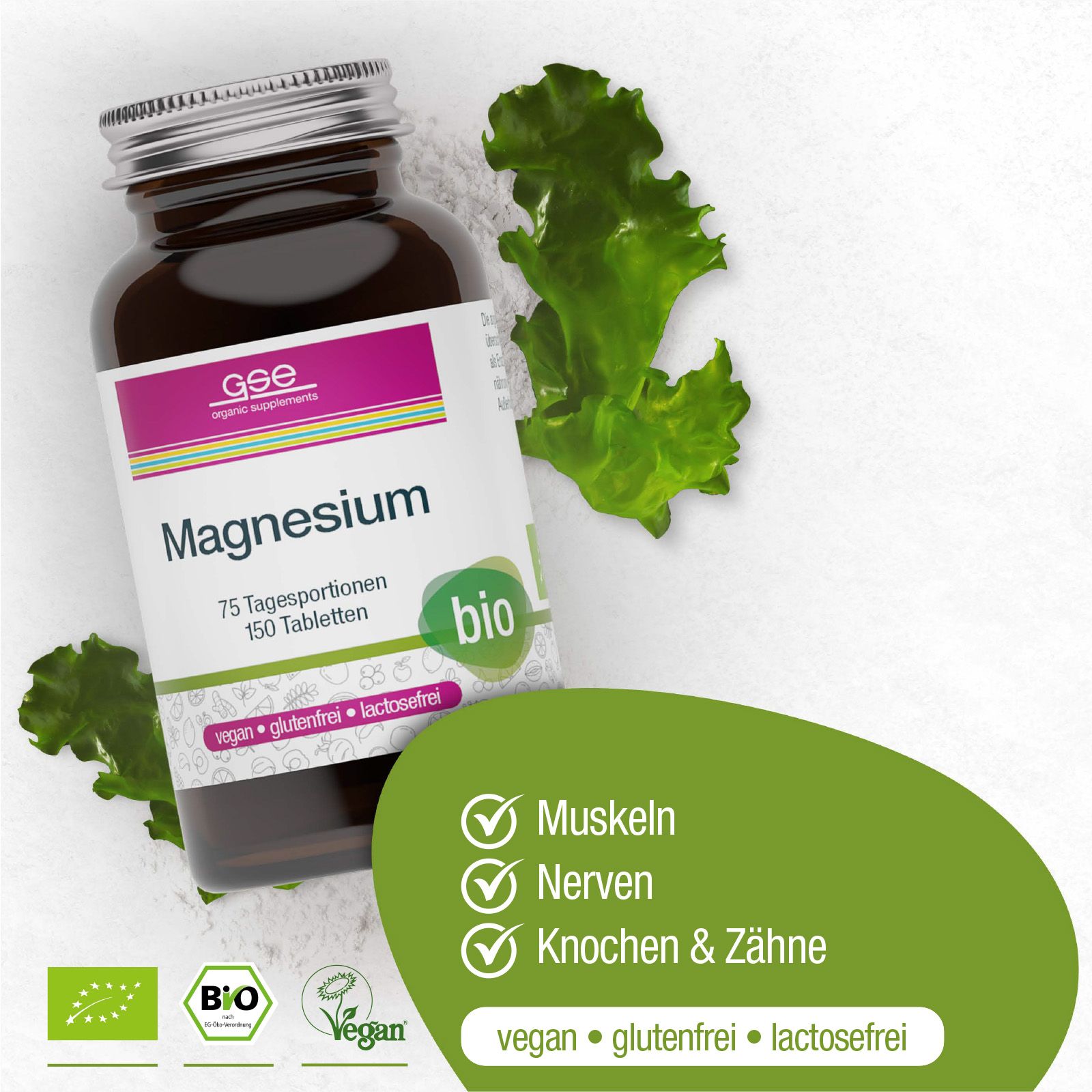 GSE Magnesium Compact