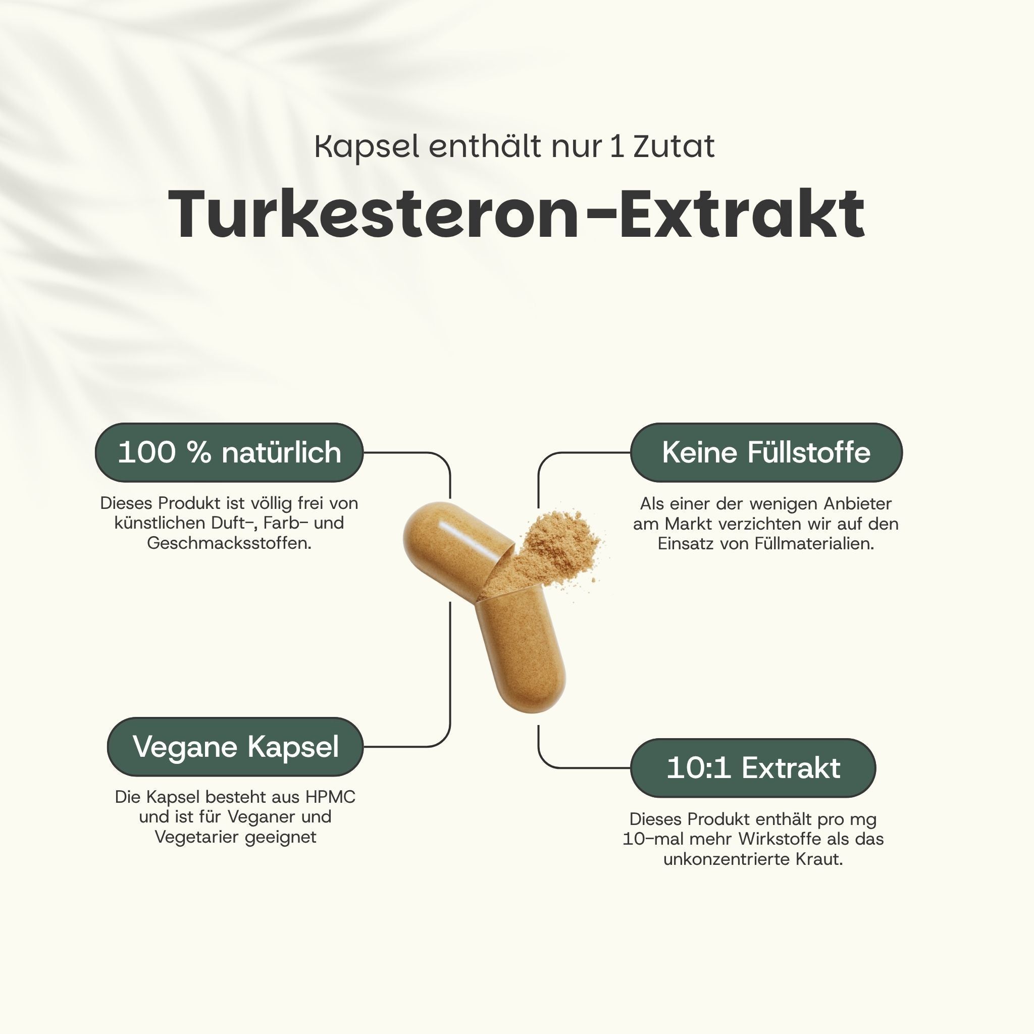 Kapsel mit Inhalt. Text: Turkesterone Extrakt. 100% natürlich. Keine Füllstoffe. Vegane Kapsel. 10:1 Extrakt.