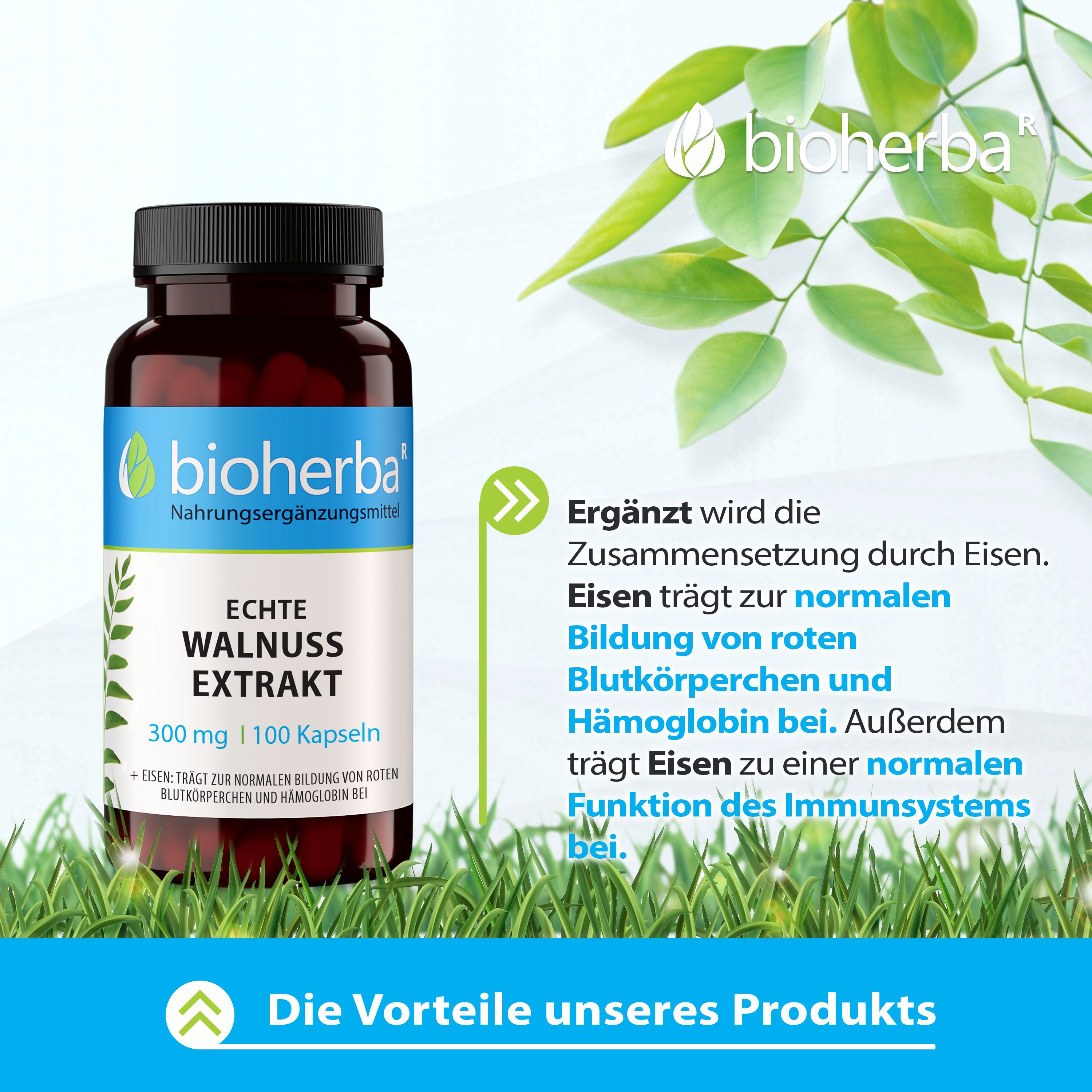 Bioherba Echte Walnuss Extrakt Kapseln