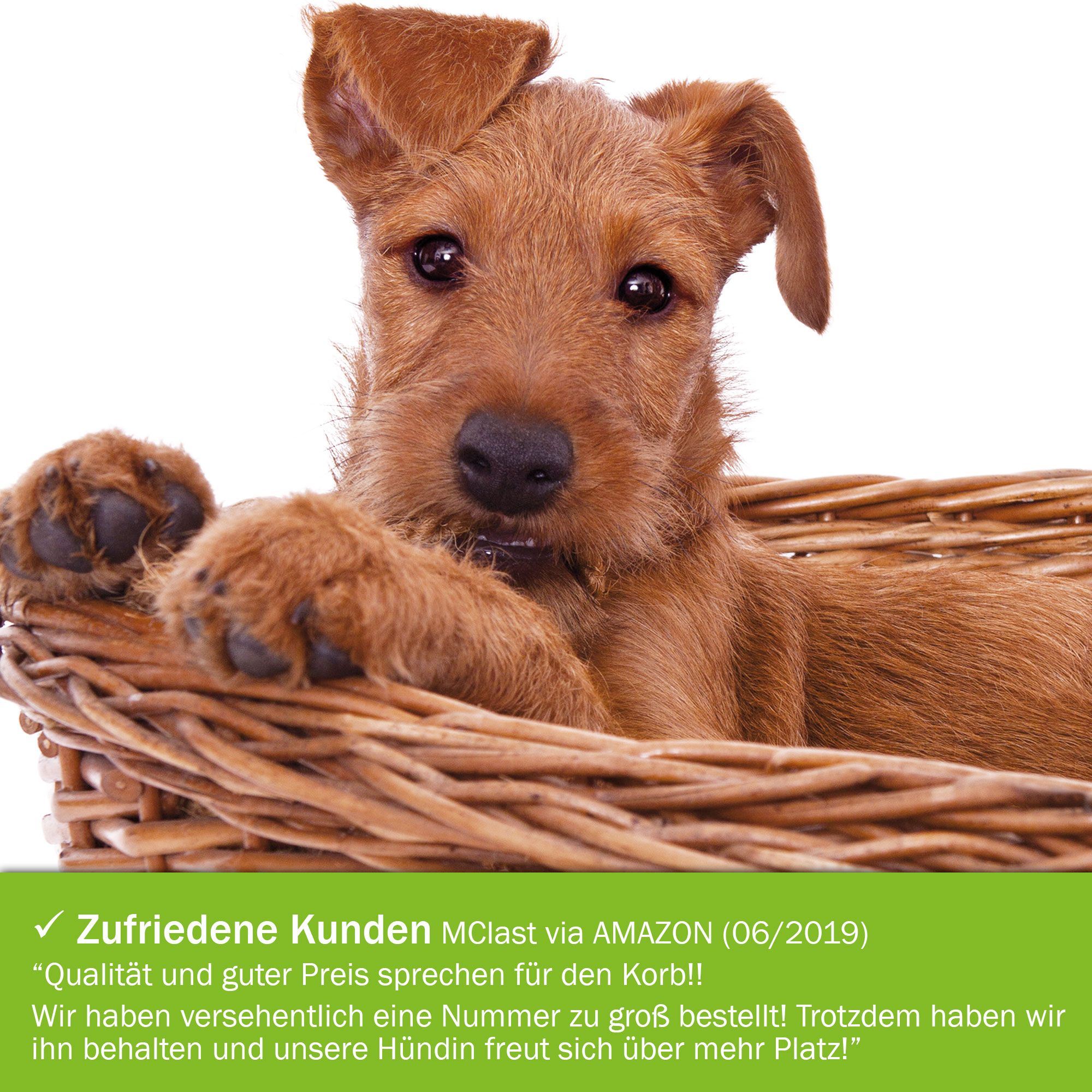 Brauner Hund in einem Weidenkorb. Grüner Text: Zufriedene Kunden. Zitat.