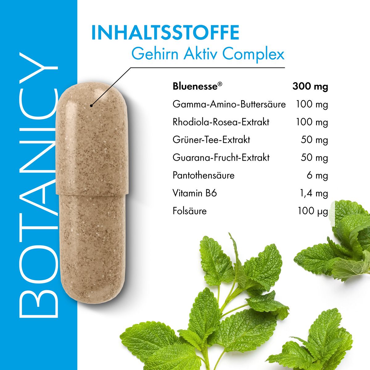 Eine Kapsel und eine Liste der Inhaltsstoffe für Gehirn Aktiv Complex, darunter Blueness, Rhodiola Rosea und Guarana.