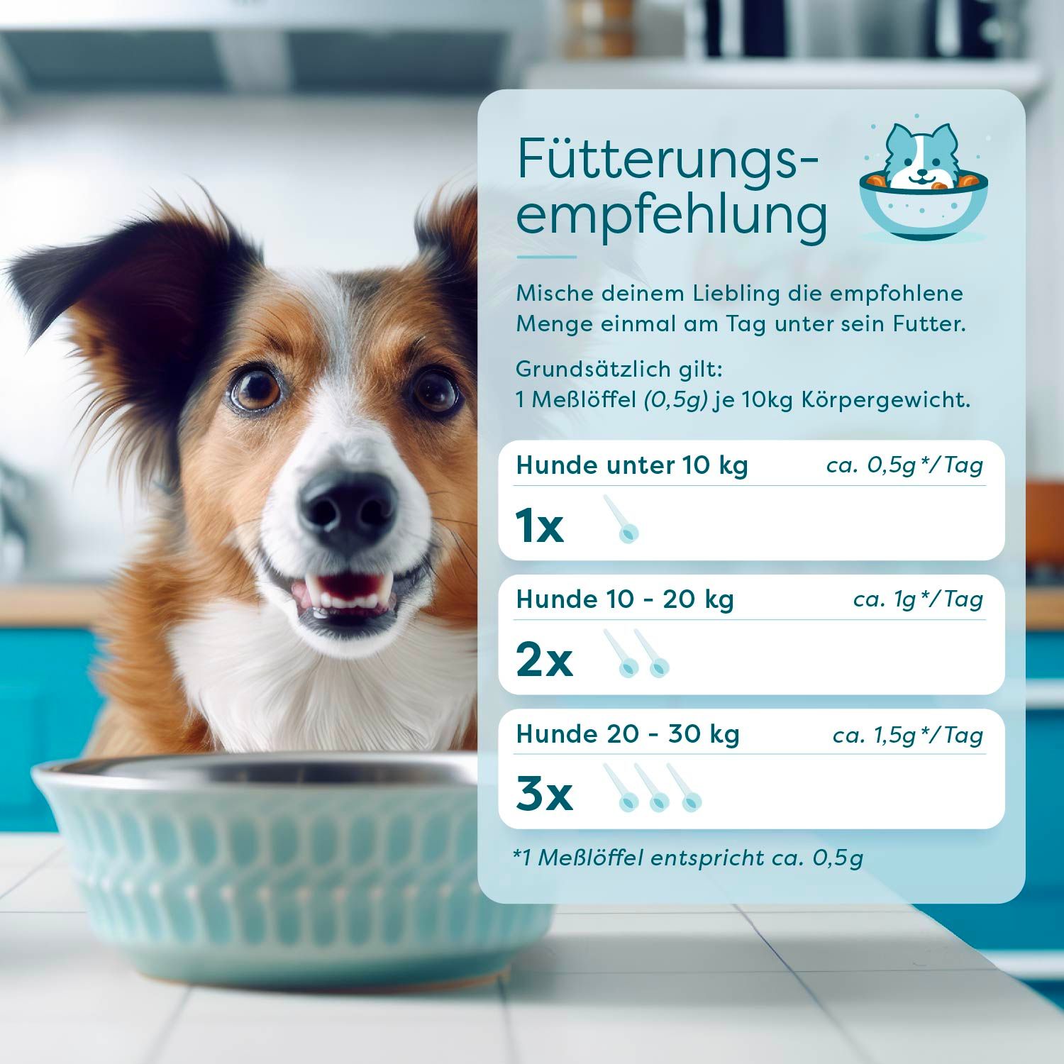 Hund vor einer blauen Schüssel. Text: Fütterungsempfehlung. Dosierungsempfehlungen für Hunde nach Gewicht, in Messlöffeln.