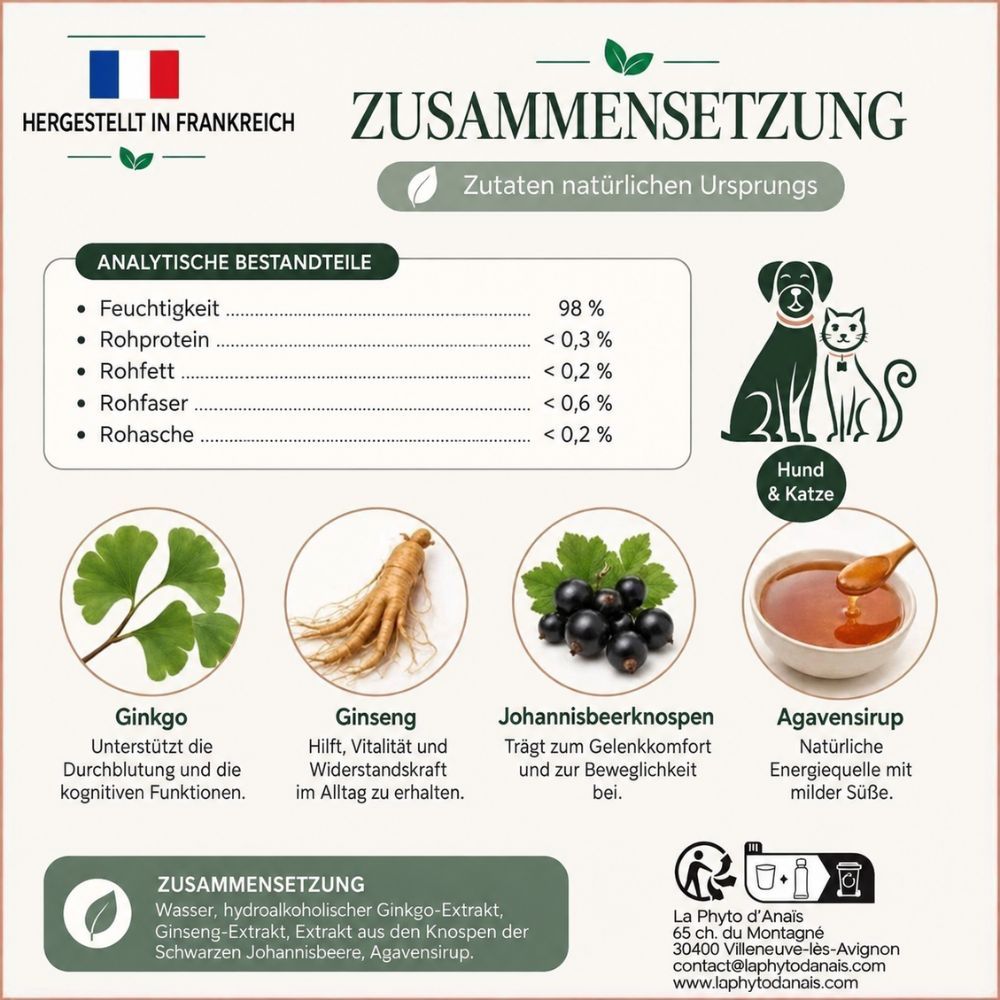 Phyto Senior Flüssigkeit in brauner Glasflasche, 250ml. Für Hunde und Katzen zur Vitalität und Gelenkbeweglichkeit. Zutaten: Ginkgo, Ginseng, Johannisbeere.