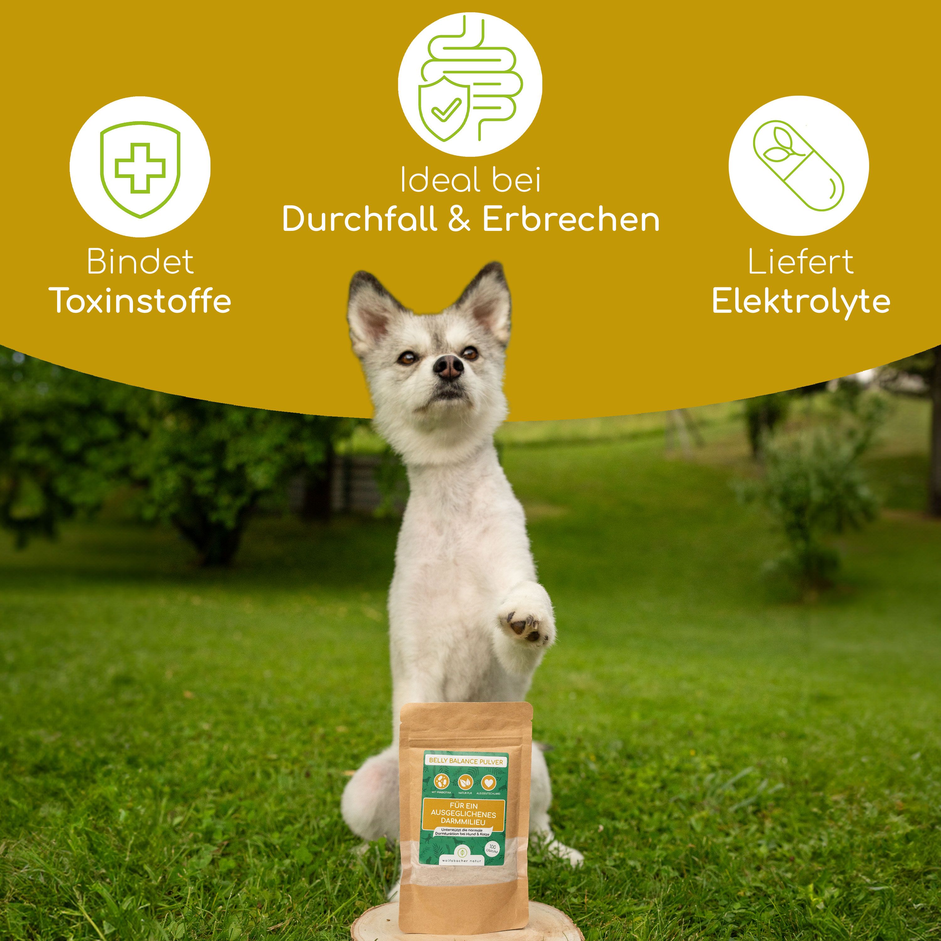 Produktbeutel mit grünem Etikett. Text: BELLY BALANCE PULVER, Für ein ausgeglichenes Darmmilieu. Illustrationen: Bindet Giftstoffe, Ideal bei Durchfall & Erbrechen, Liefert Elektrolyte.
