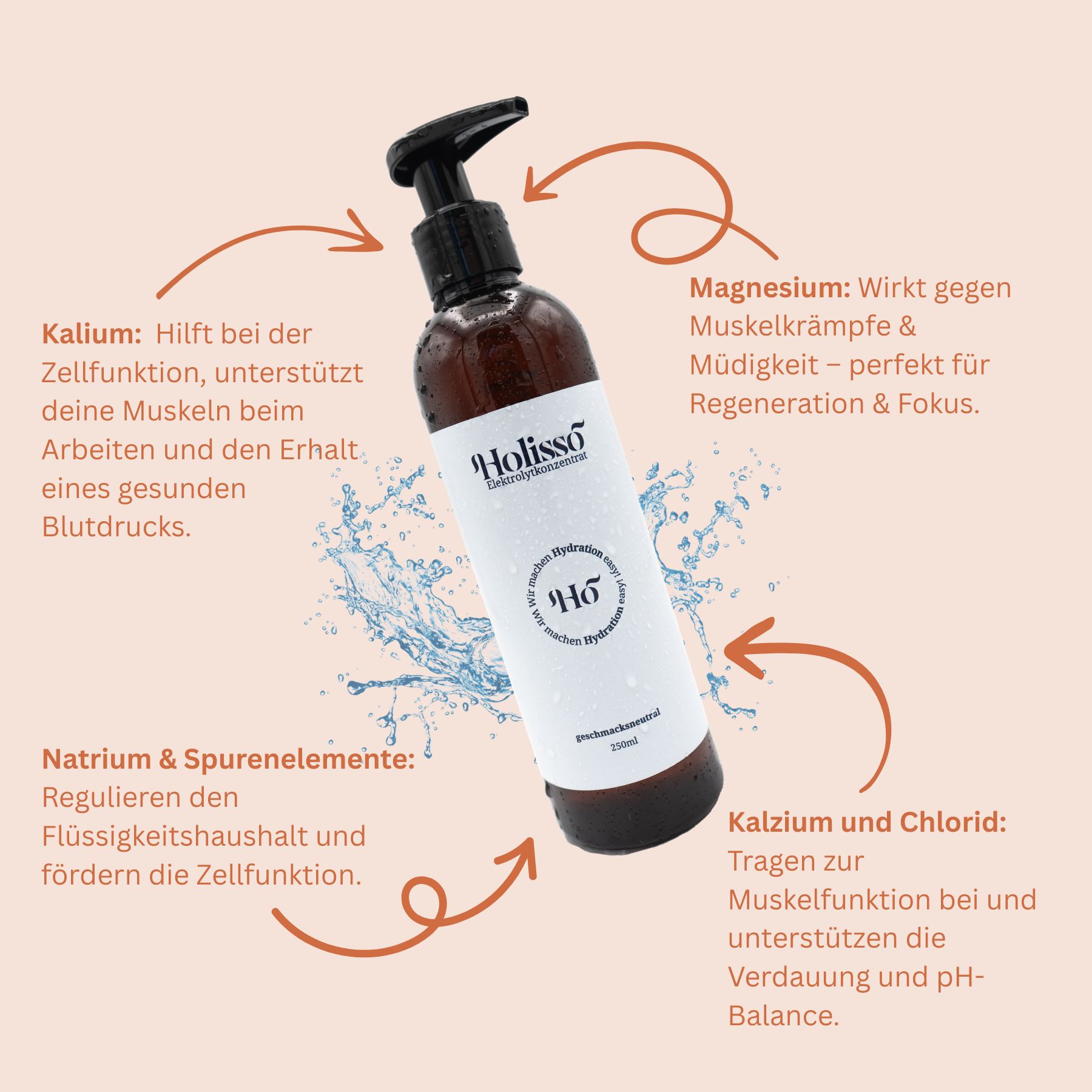 Holisso® 100% natürliches Elektrolytkonzentrat – 250 ml, 200 Portionen, geschmacksneutral