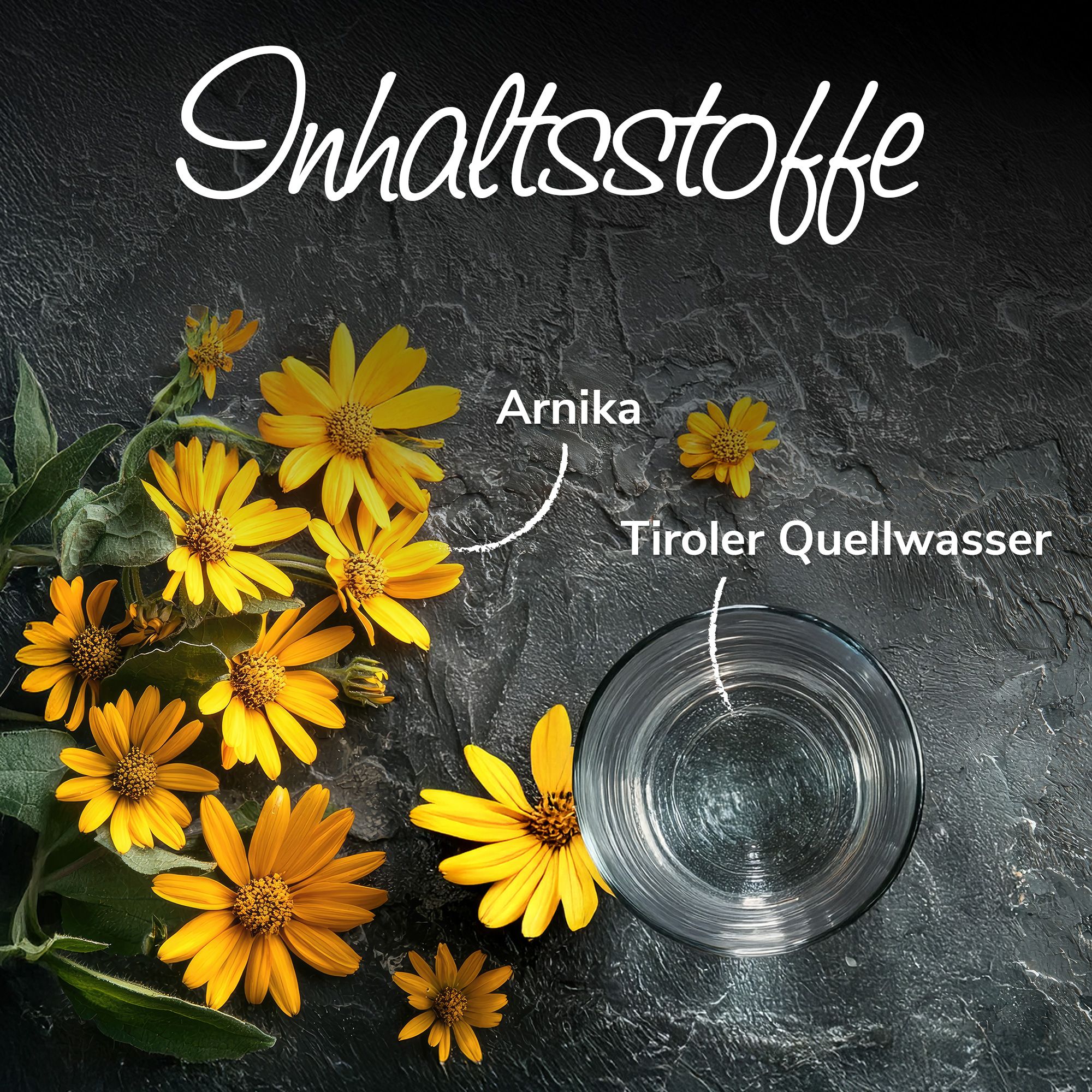Arnikawunderwickel für Pferde, Hunde & Katzen