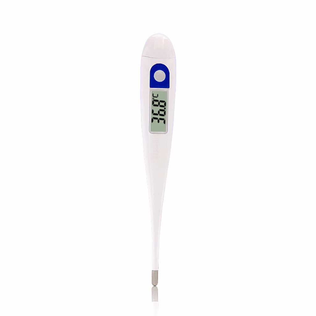 Digitales Fieberthermometer. Weißes Gehäuse, blaues Bedienfeld, Digitalanzeige mit Temperatur in Celsius. Spitze aus Metall.