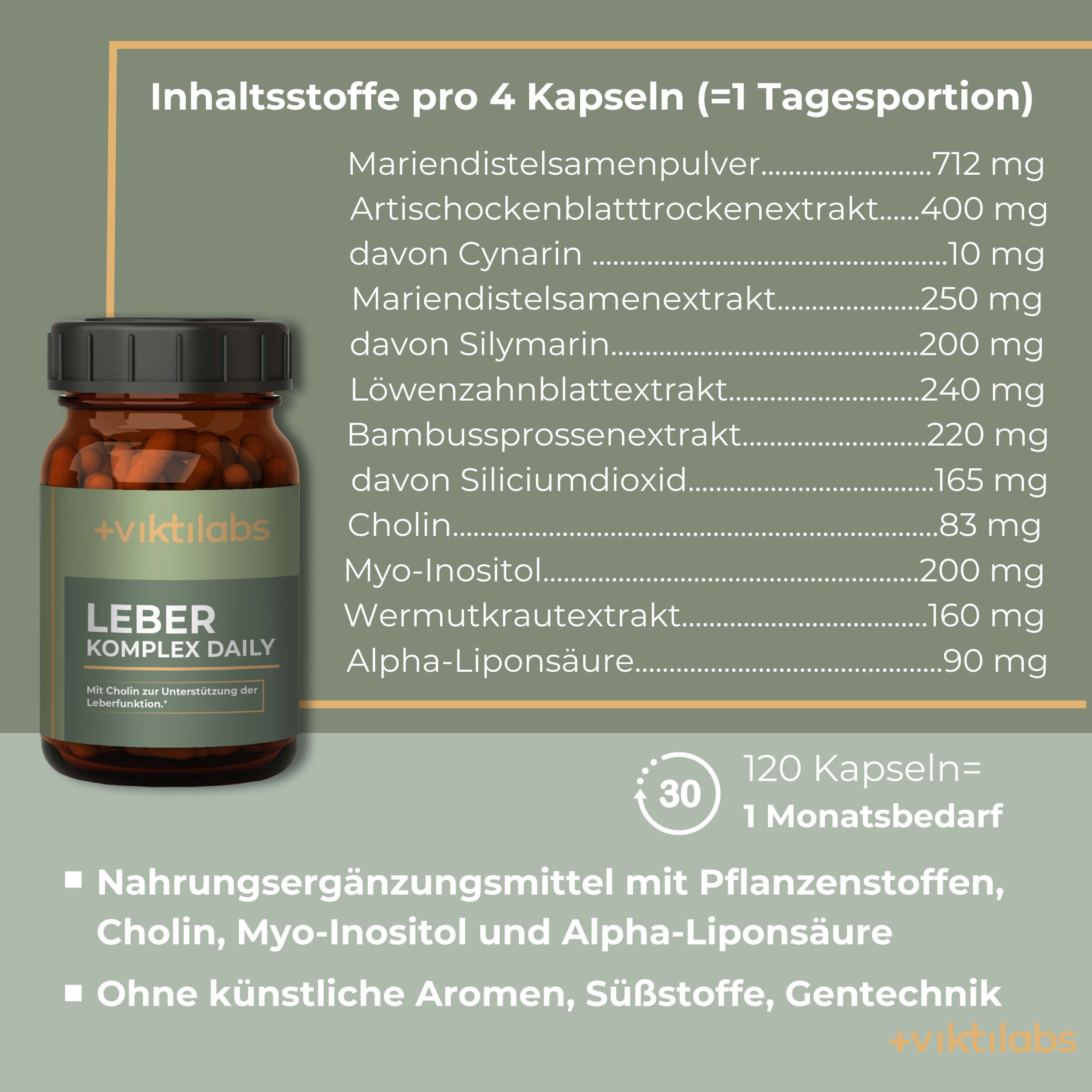 Viktilabs Leber Komplex Daily: Mit Cholin und Alpha-Liponsäure