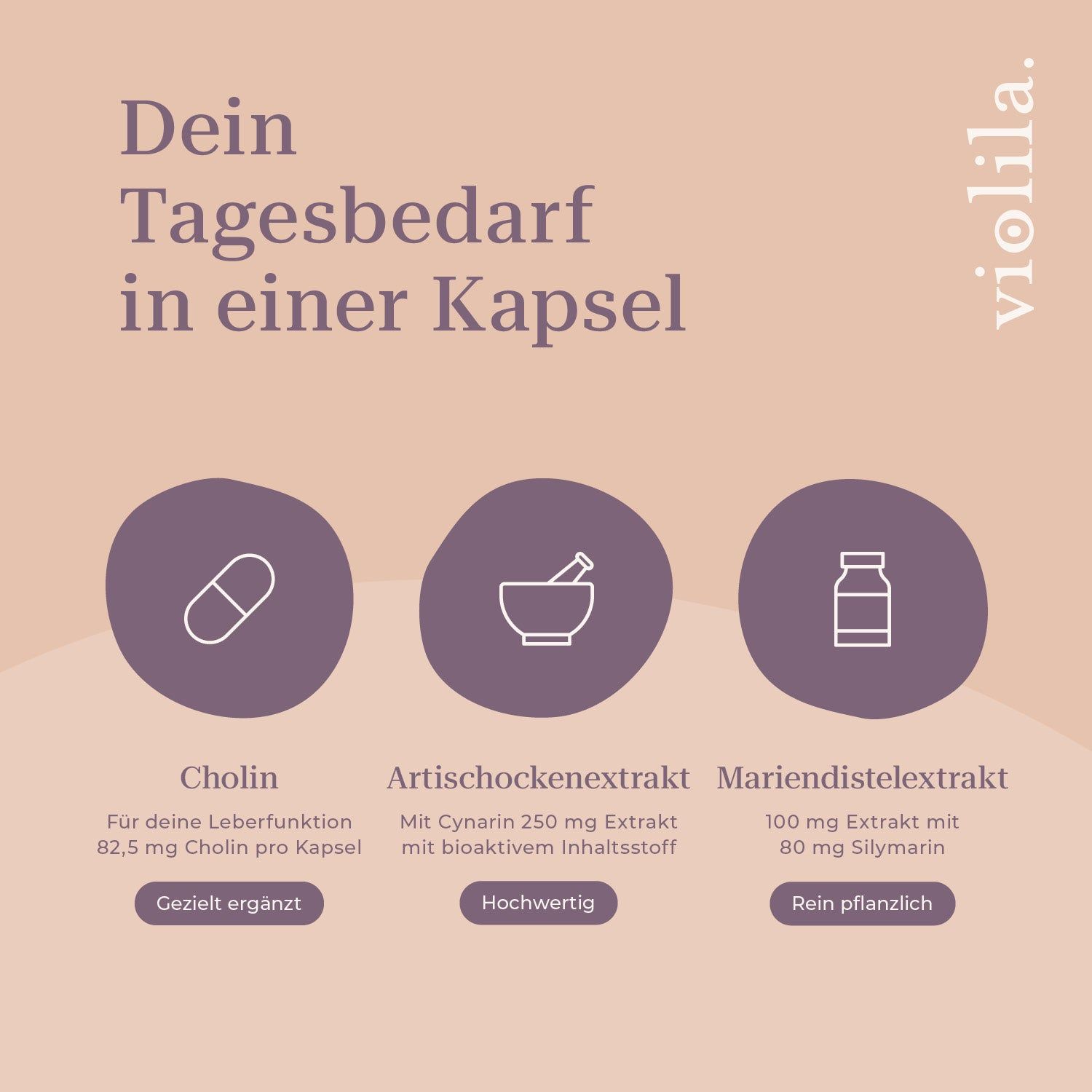 violila Leberkomplex Kapseln