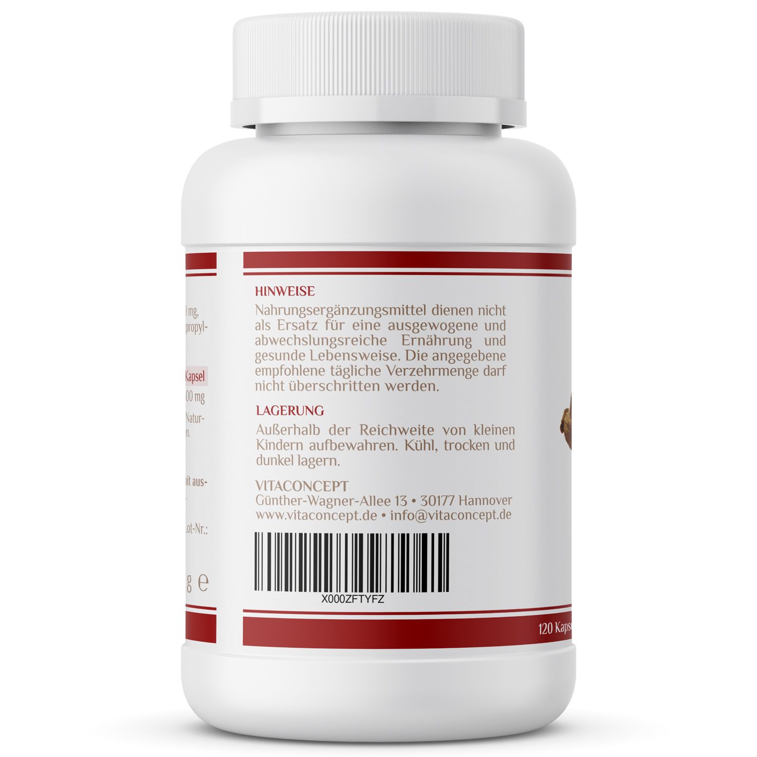 Rückseite der weißen Flasche. Rotes Etikett mit Text: Hinweise, Lagerung, VITACONCEPT-Adresse, Barcode. 120 Kapseln.