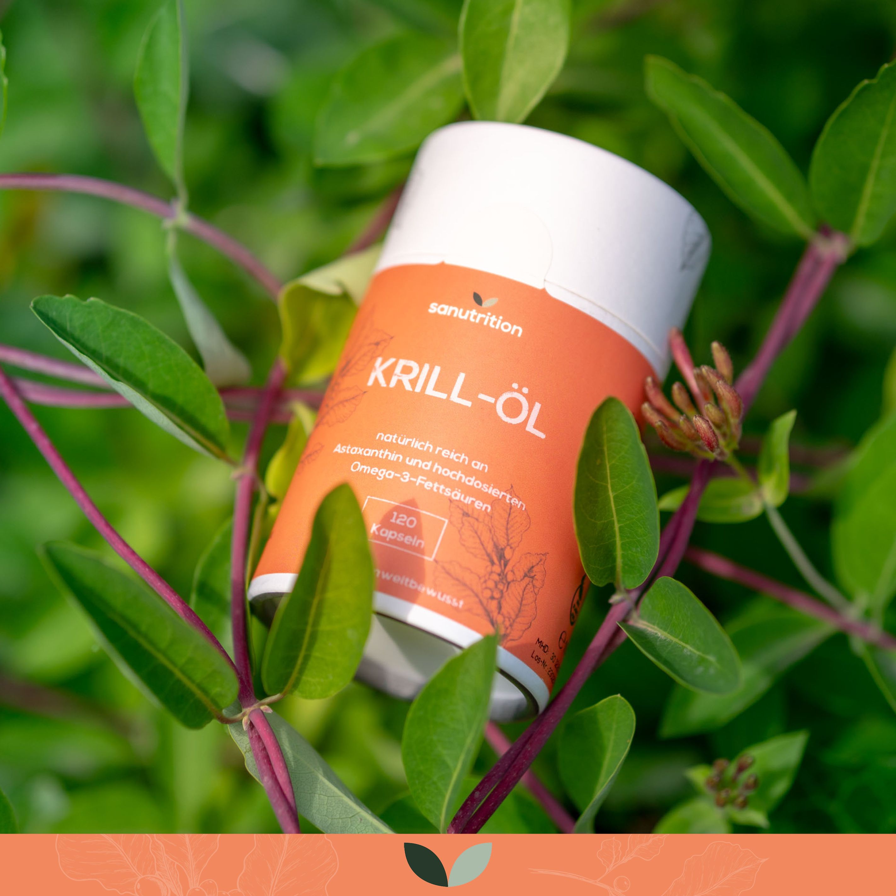 Sanutrition® - Krillöl mit Lecithin