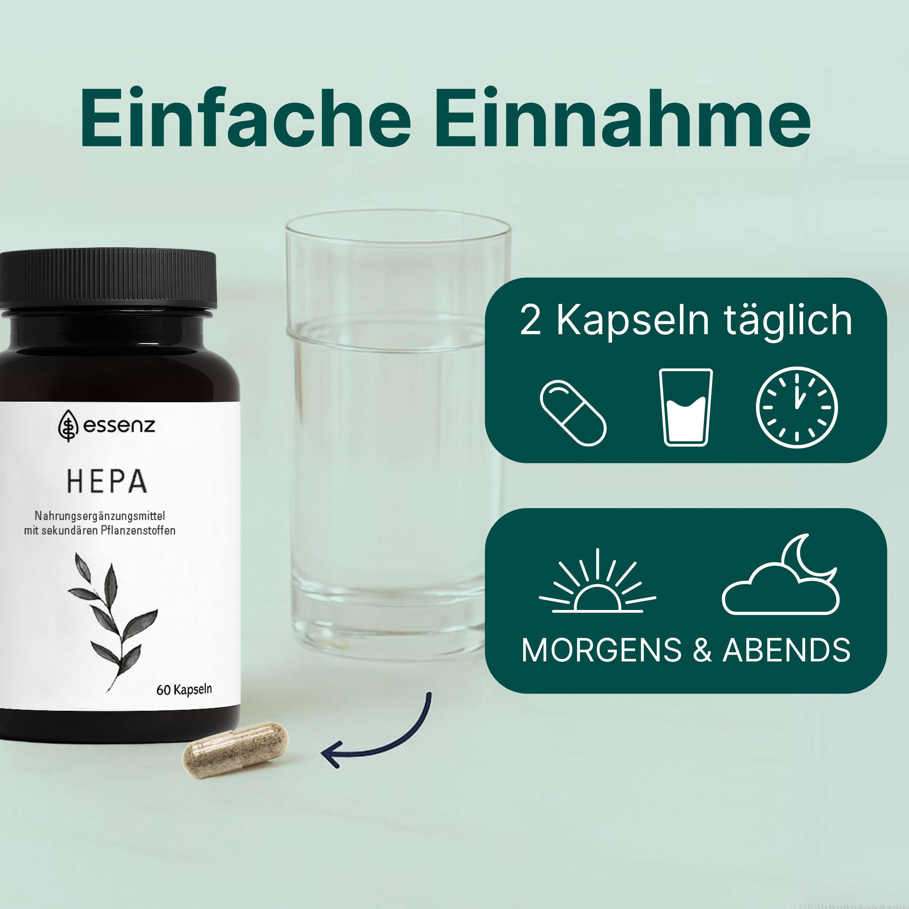 Braune Flasche mit Kapseln, Glas Wasser, Grafik: 2 Kapseln täglich, morgens & abends. Aufschrift: ESSENZ HEPA.